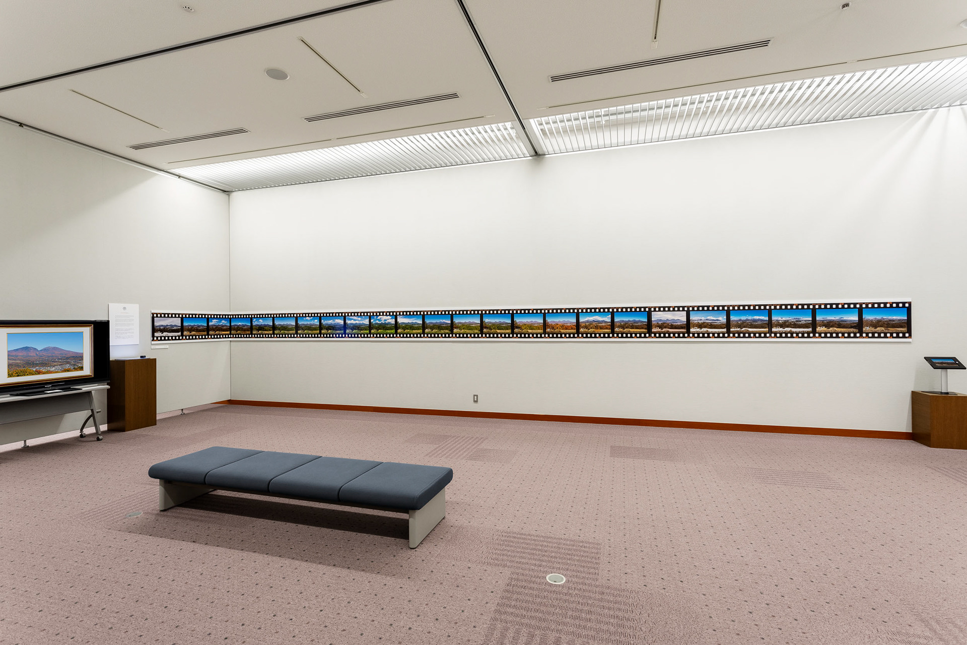 Roots Project @ Komoro Kogen Museum of Art