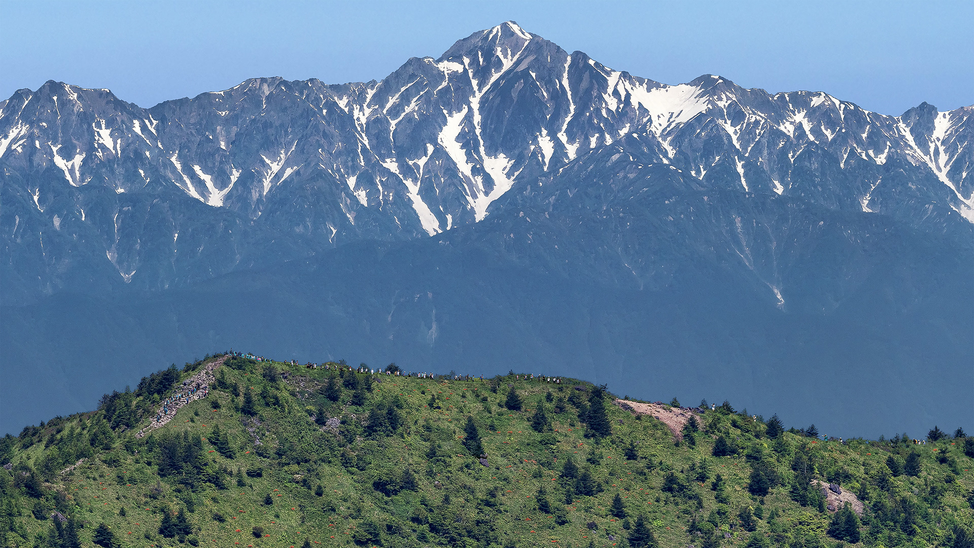 Summer - Hiking: Detail 夏 - 登山教室