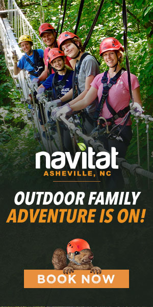 Navitat Programmatic  Banner Ad - RNMC