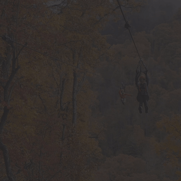 Navitat Animated Social Ad - RNMC