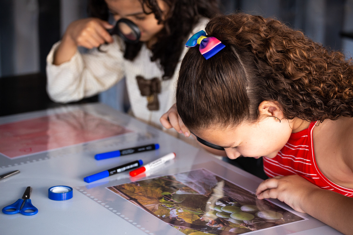 "Ver/Olhar", Gal Oppido. Programa educacional da exposição. Sesc Campo Limpo, 2019.