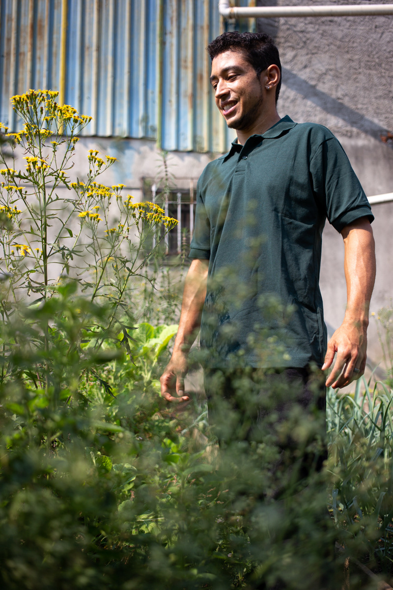 "Caminhos da Agricultura do ABCDMRR", Horta das Nações. Sesc São Caetano, 2020.
