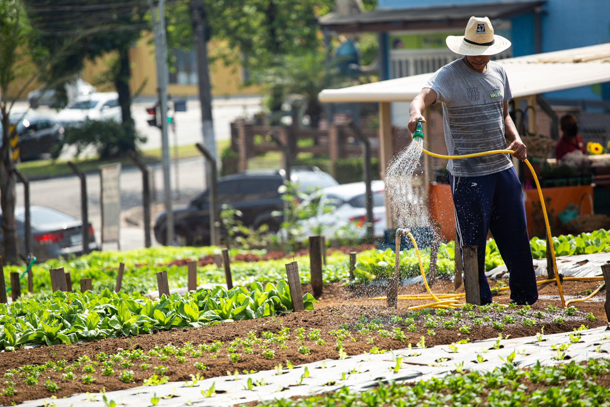 "Caminhos da Agricultura do ABCDMRR", Horta Campo Verde. Sesc São Caetano, 2020.