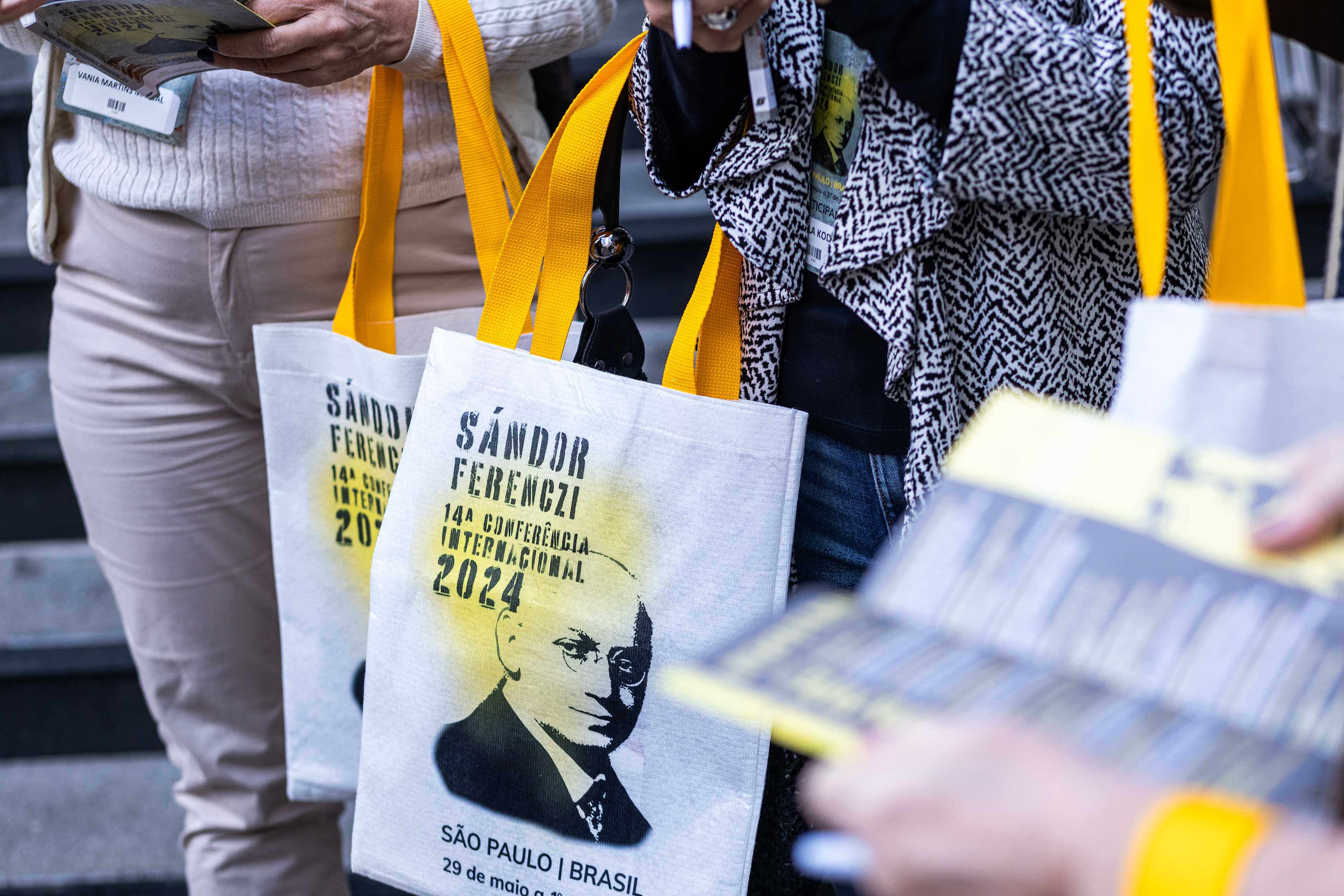 14ª Conferência Internacional Sándor Ferenczi, 2024.