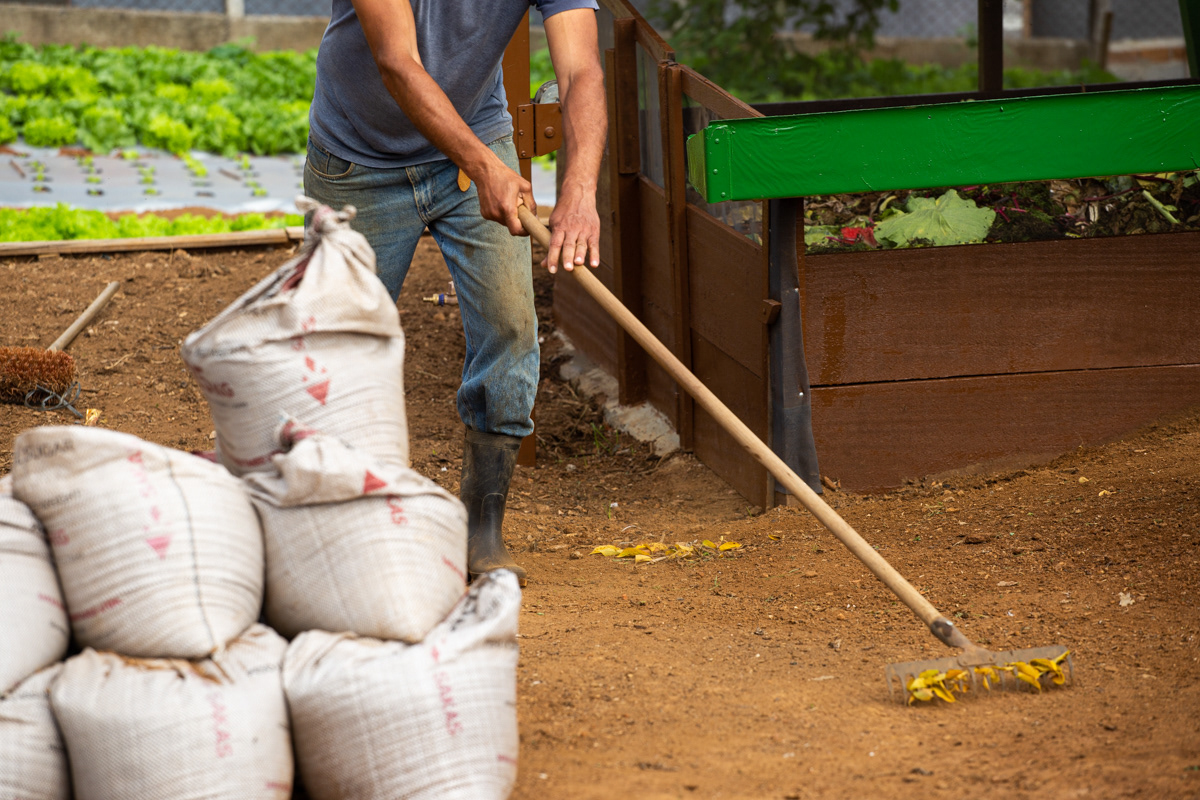 "Caminhos da Agricultura do ABCDMRR", Horta Campo Verde. Sesc São Caetano, 2020.