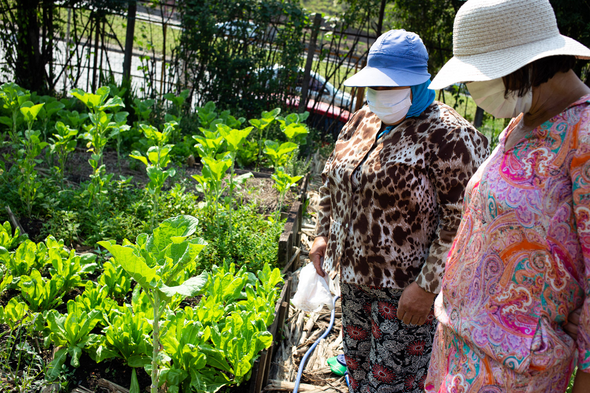 "Caminhos da Agricultura do ABCDMRR", Horta das Nações. Sesc São Caetano, 2020.