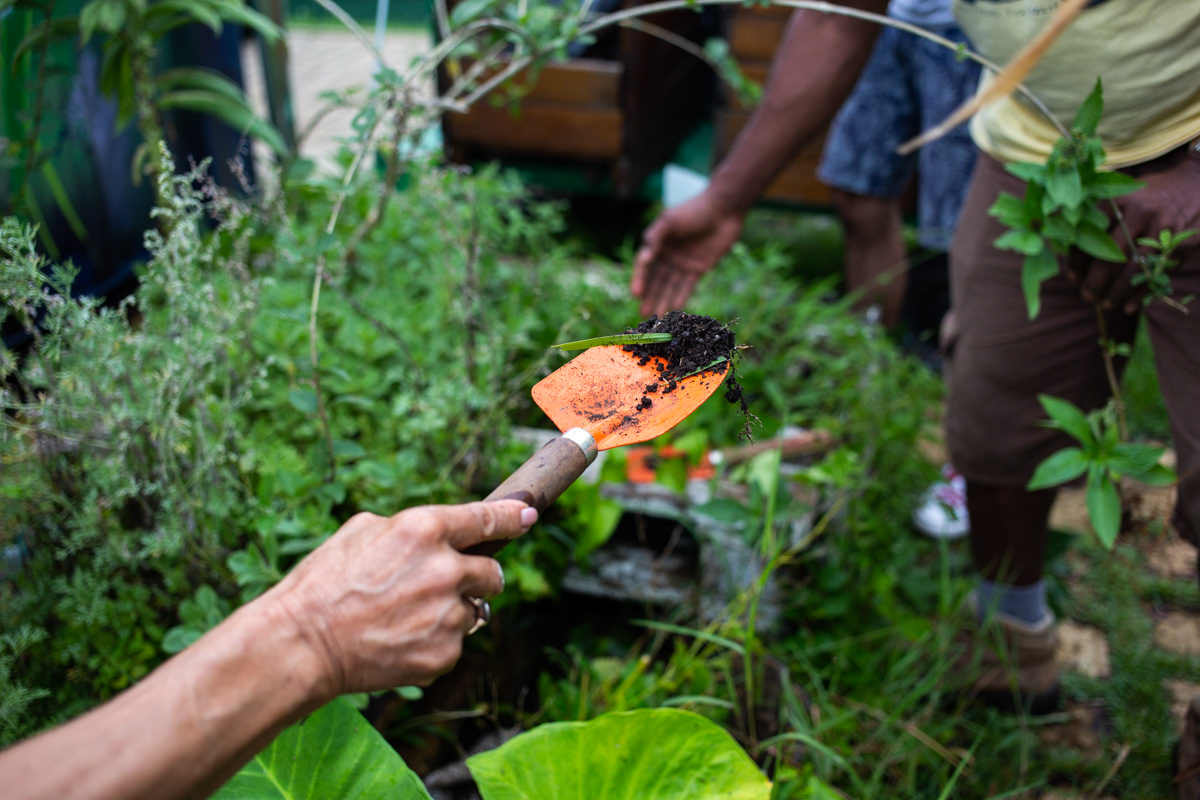Aprenda a plantar sua comida na cidade. Com Coletivo Dedo Verde. Sesc Campo Limpo, 2019.