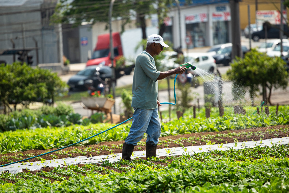 "Caminhos da Agricultura do ABCDMRR", Horta Campo Verde. Sesc São Caetano, 2020.