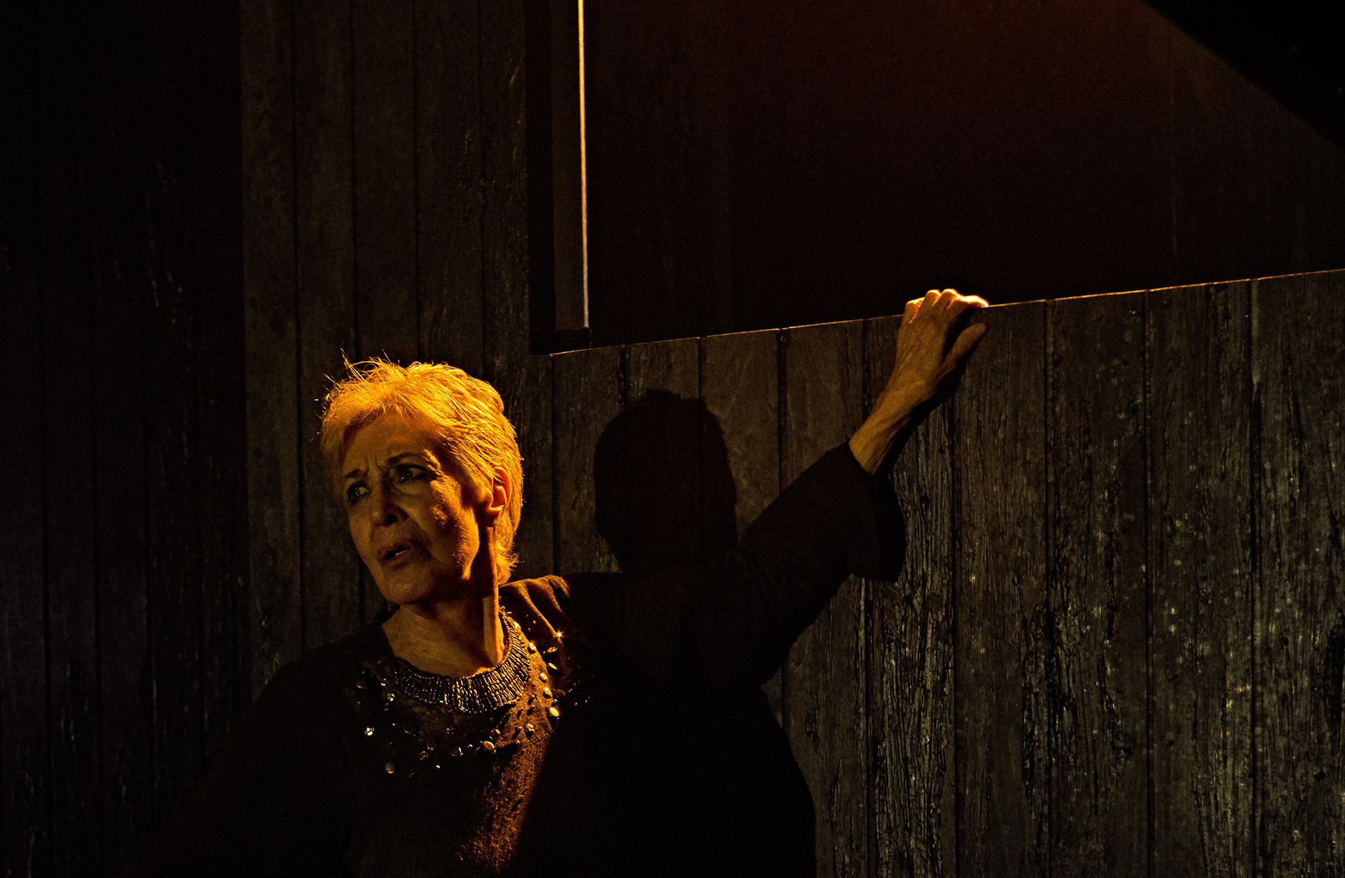 REINA JUANA 2016 - foto: SERGIO PARRA