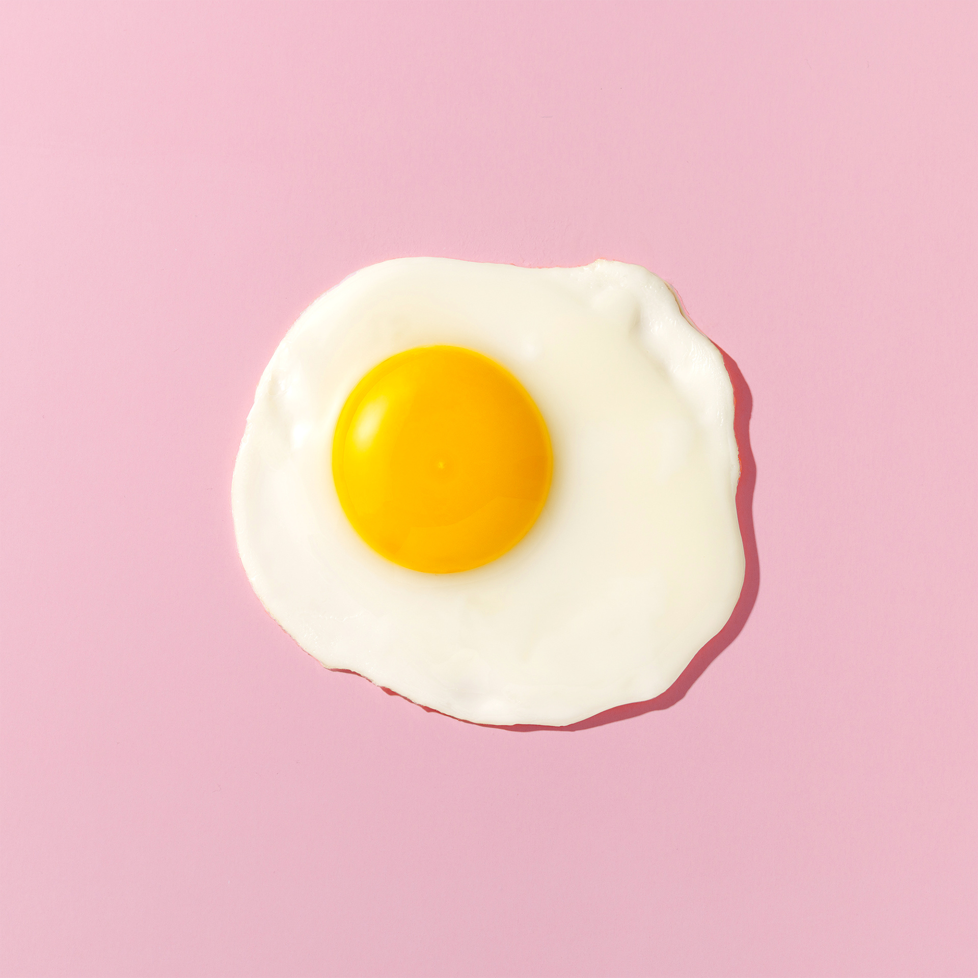 THE EGG