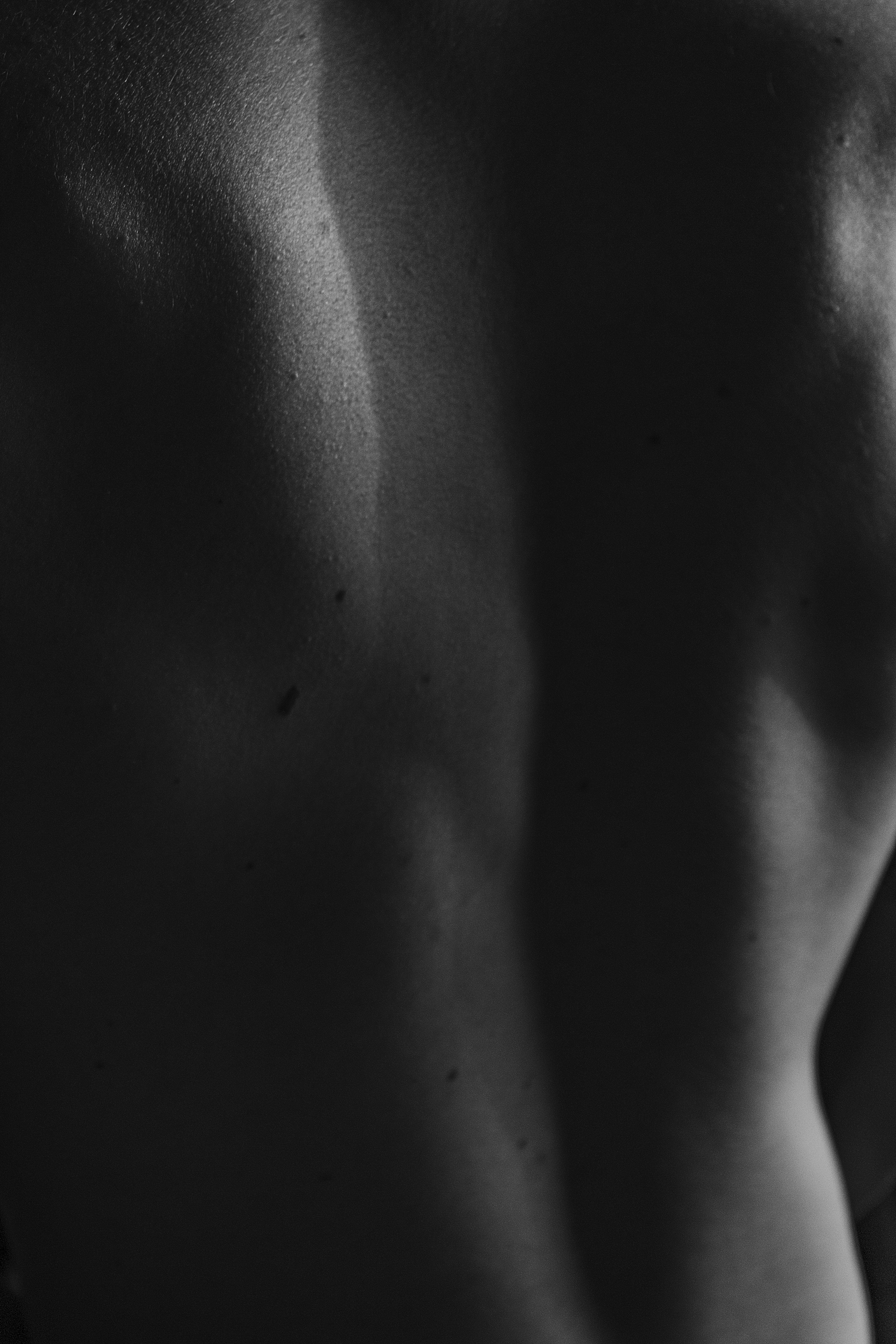Back, 2017