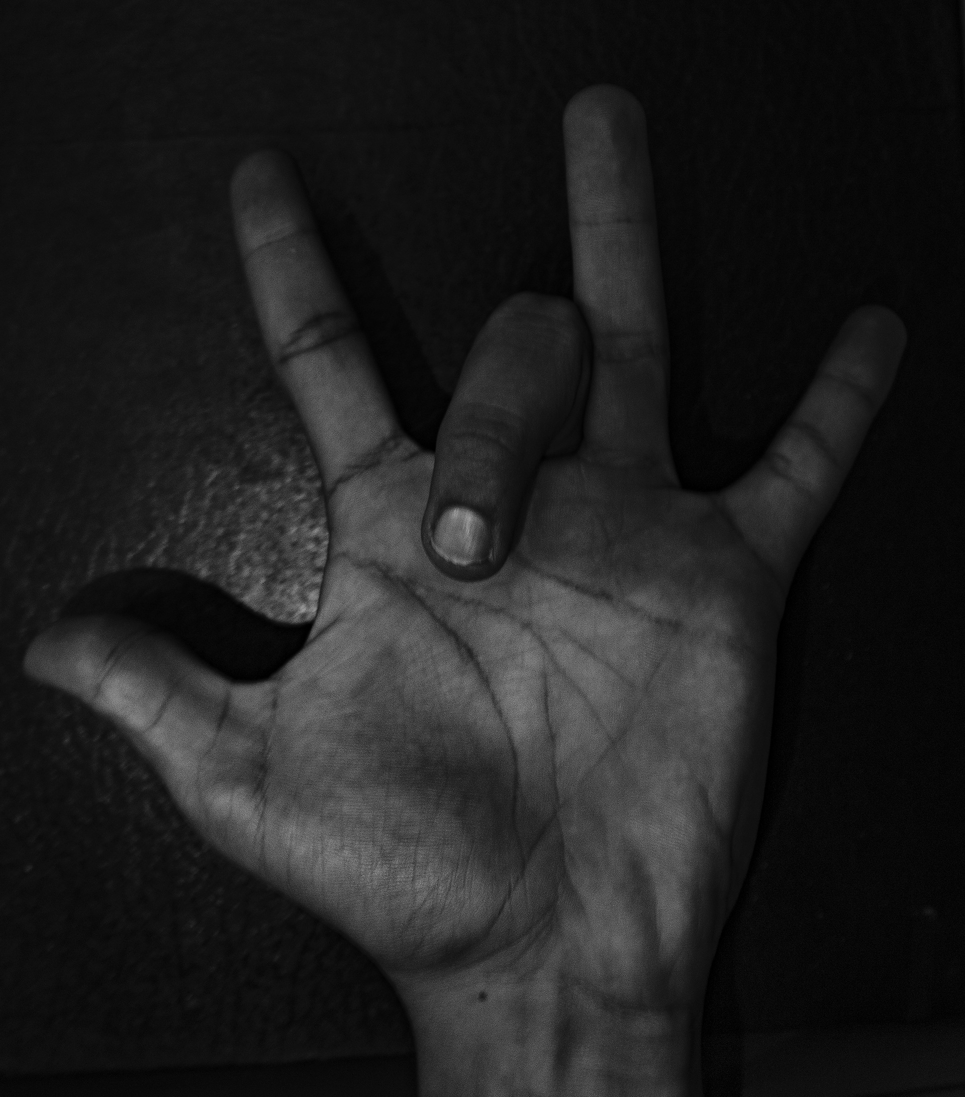 Hand Imitation, 2017