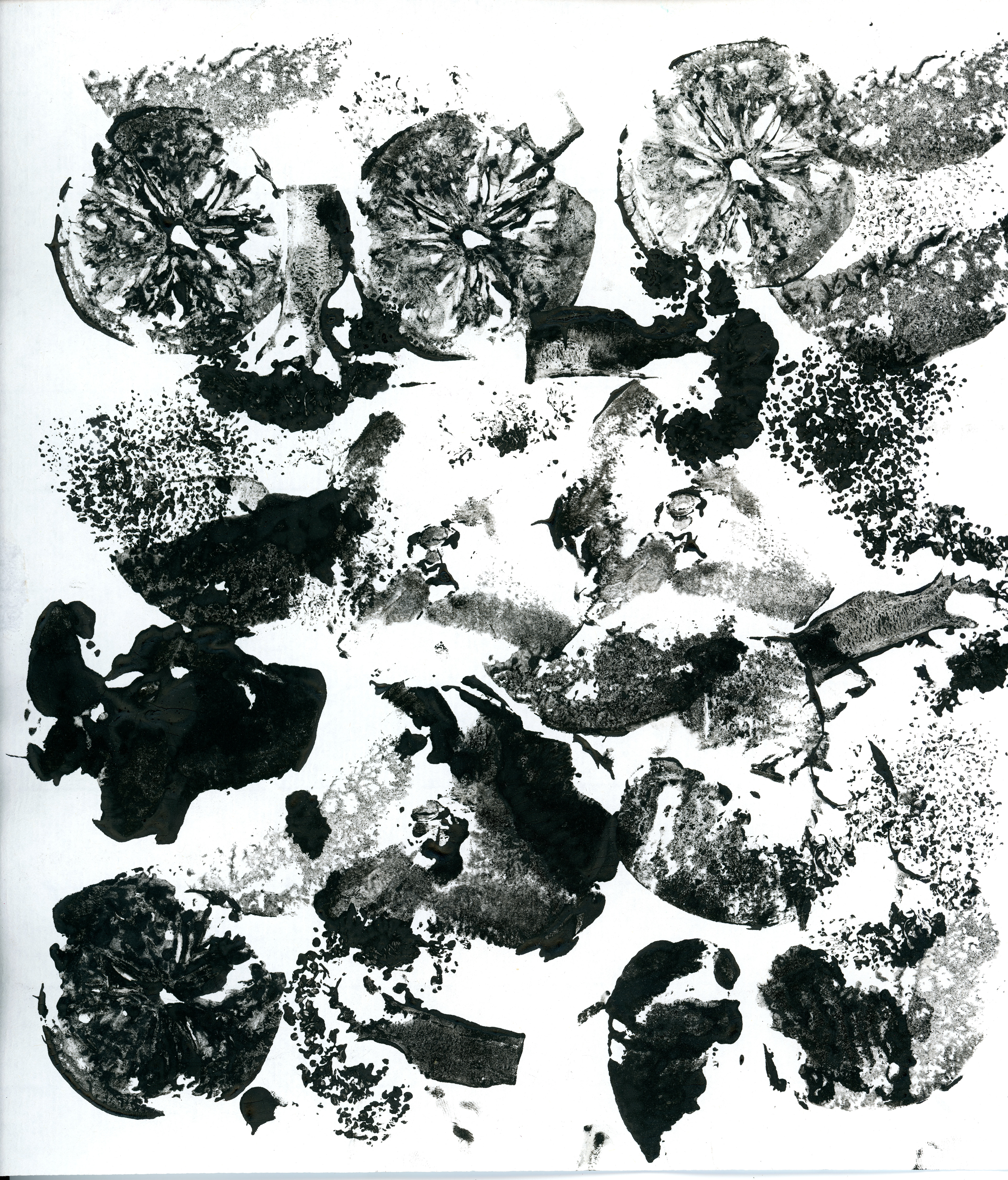 Lemon, Broccoli, Mushroom II, 1/1, 2017