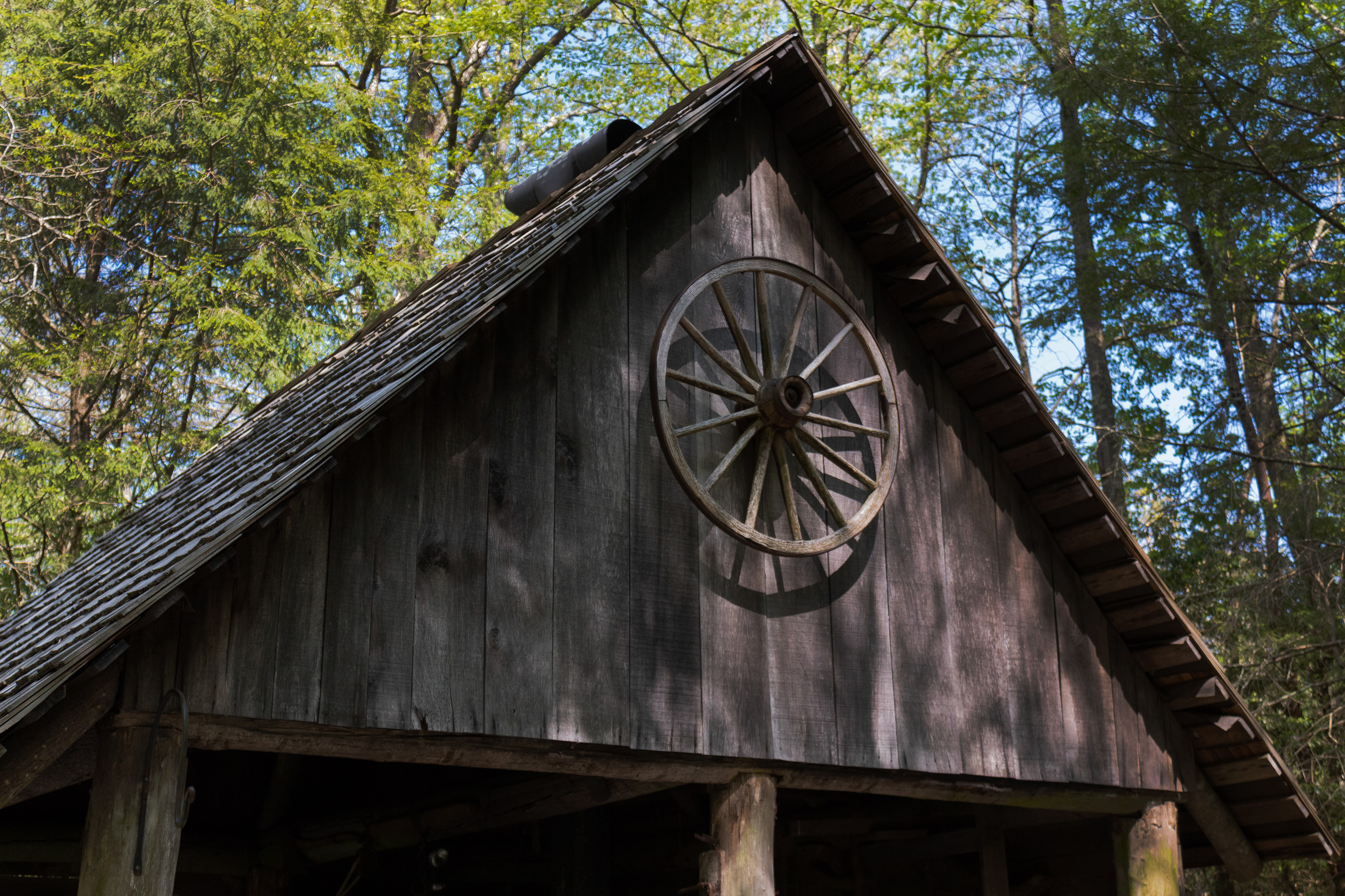 Wheel, 2018