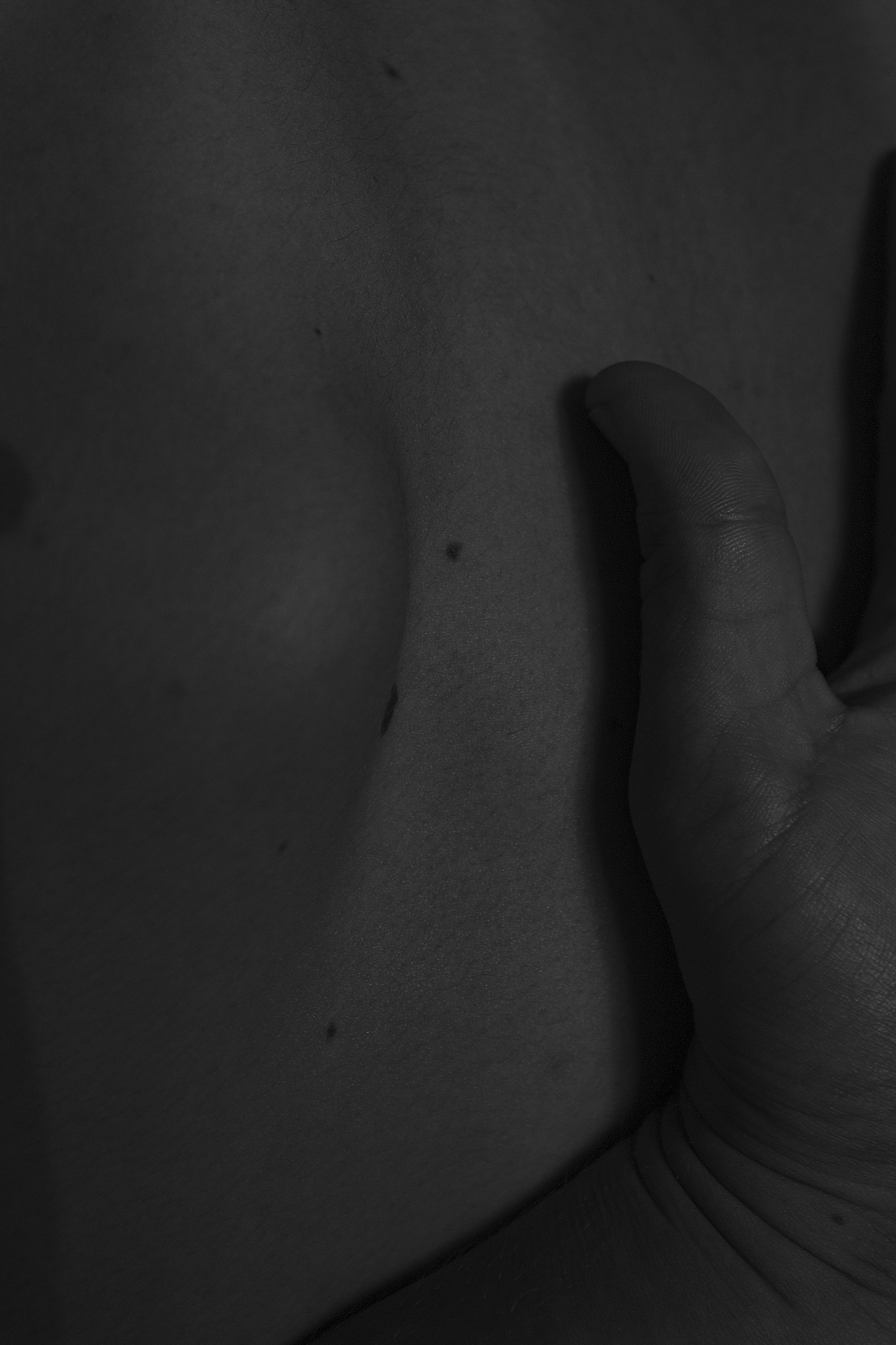 Hand and Back, 2017
