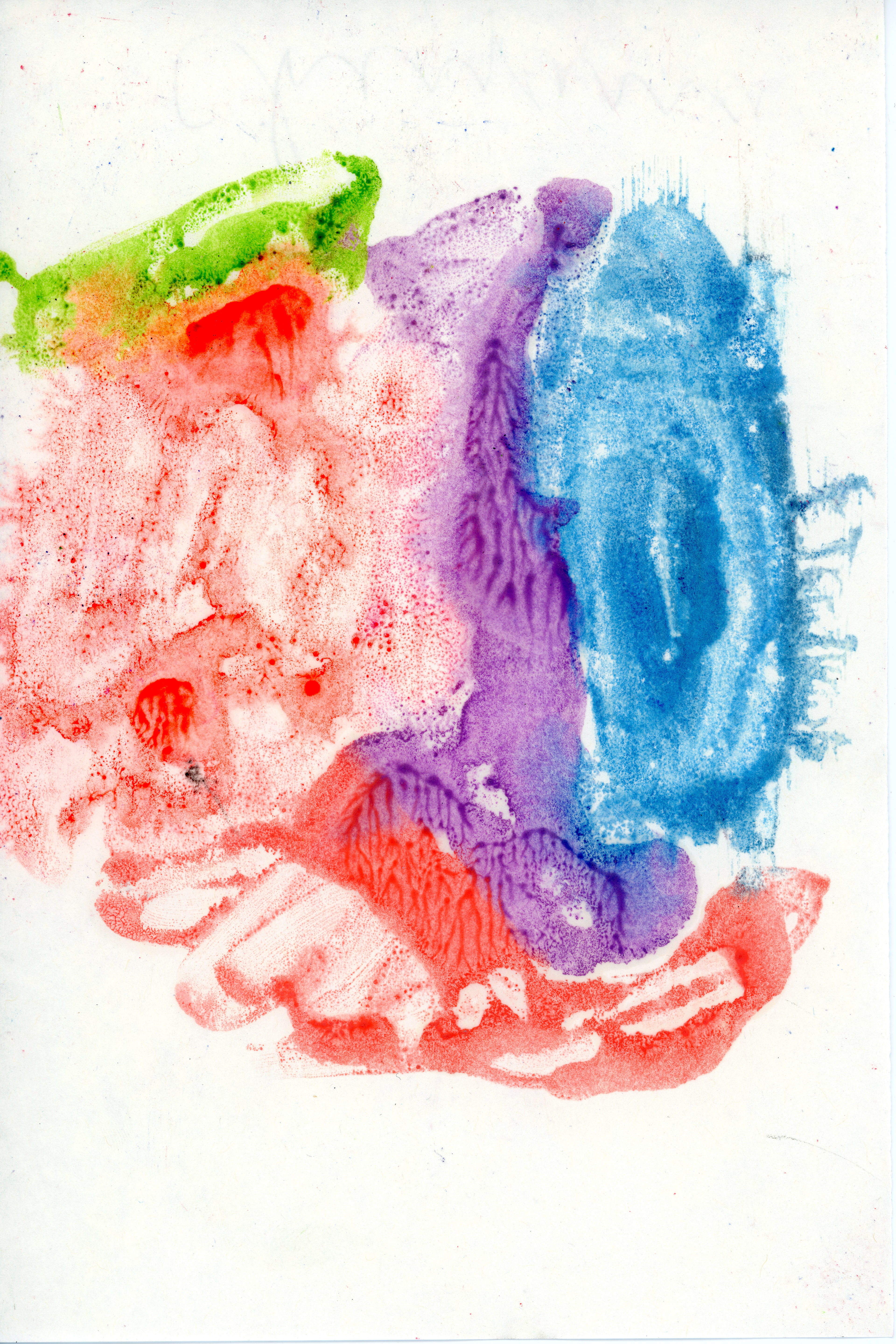 Brain Color, 1/1, 2017