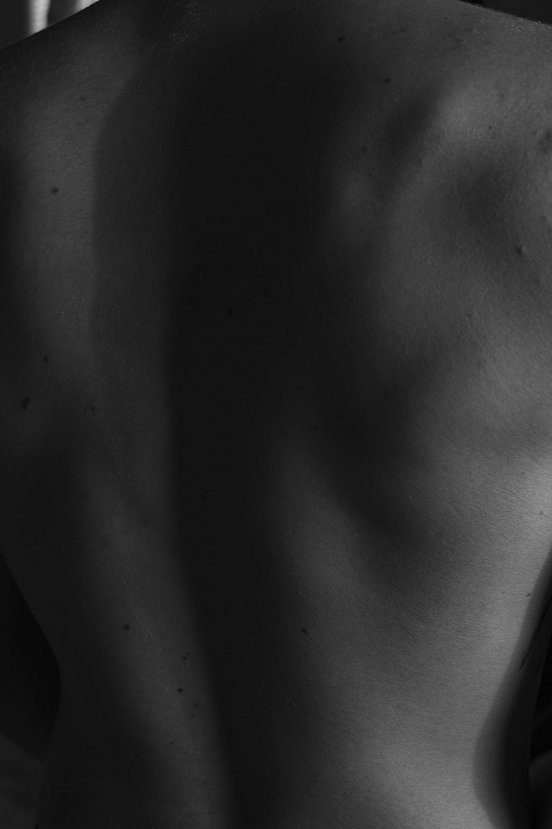 Back II, 2017