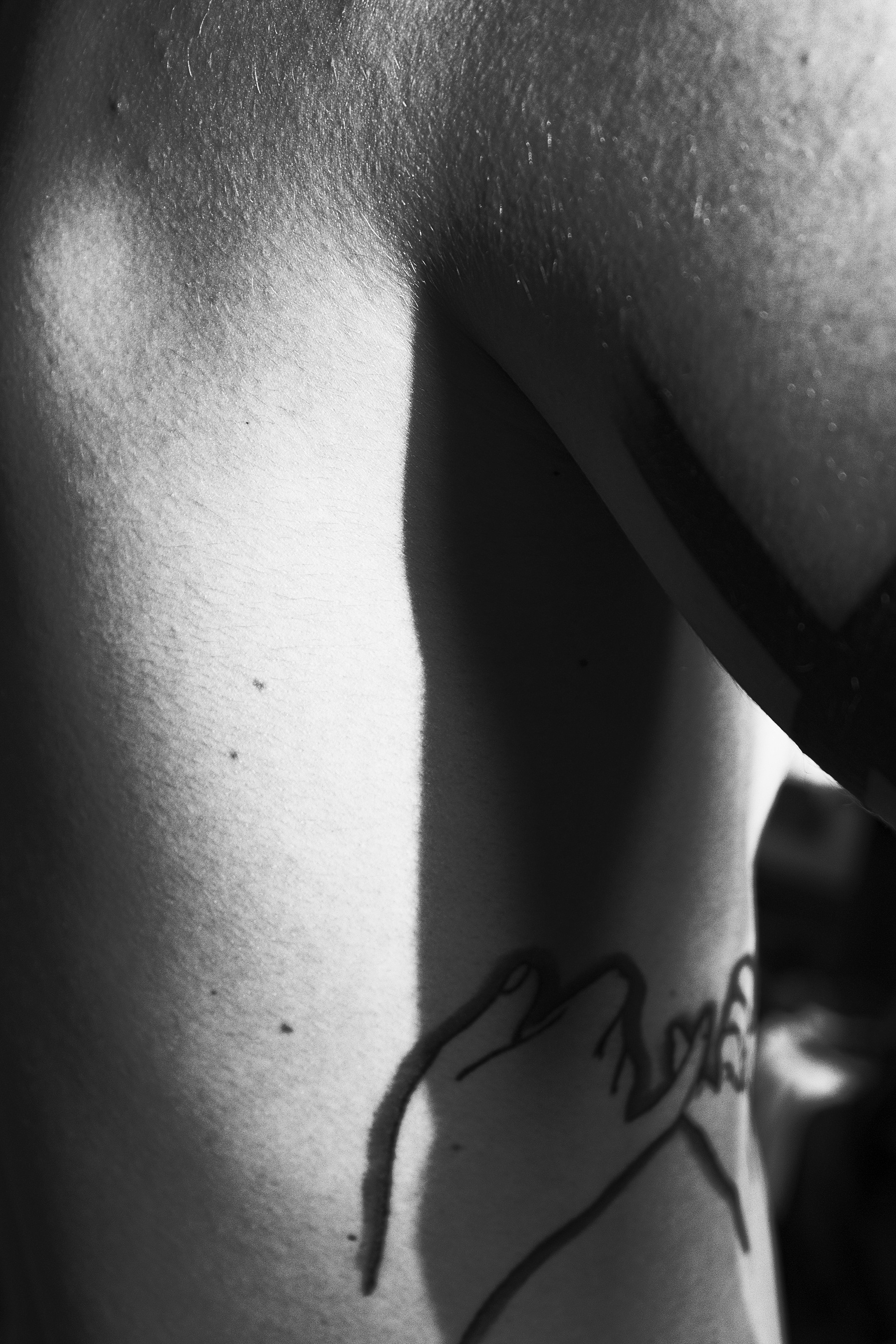 Ribs, 2017