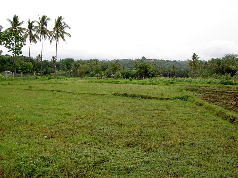 before building