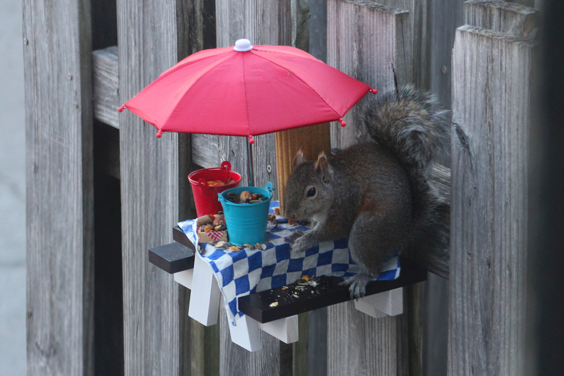Squirrel, KY, Feb. 2024