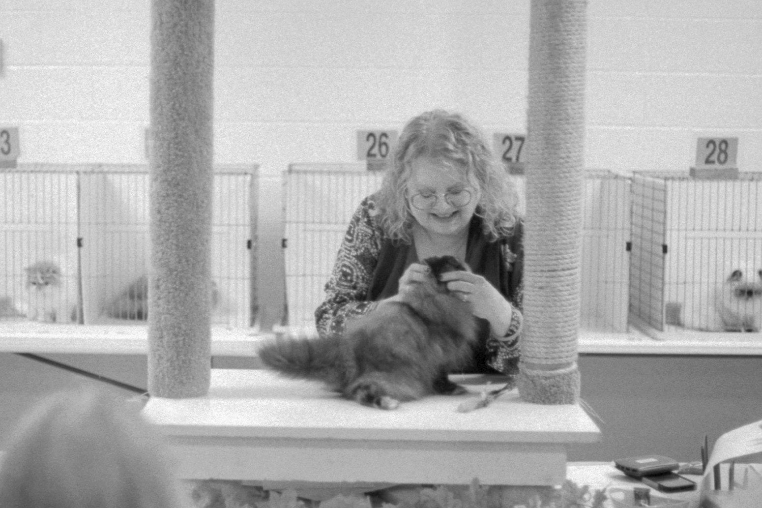 ACFA Cat Show, KY, Oct. 2025