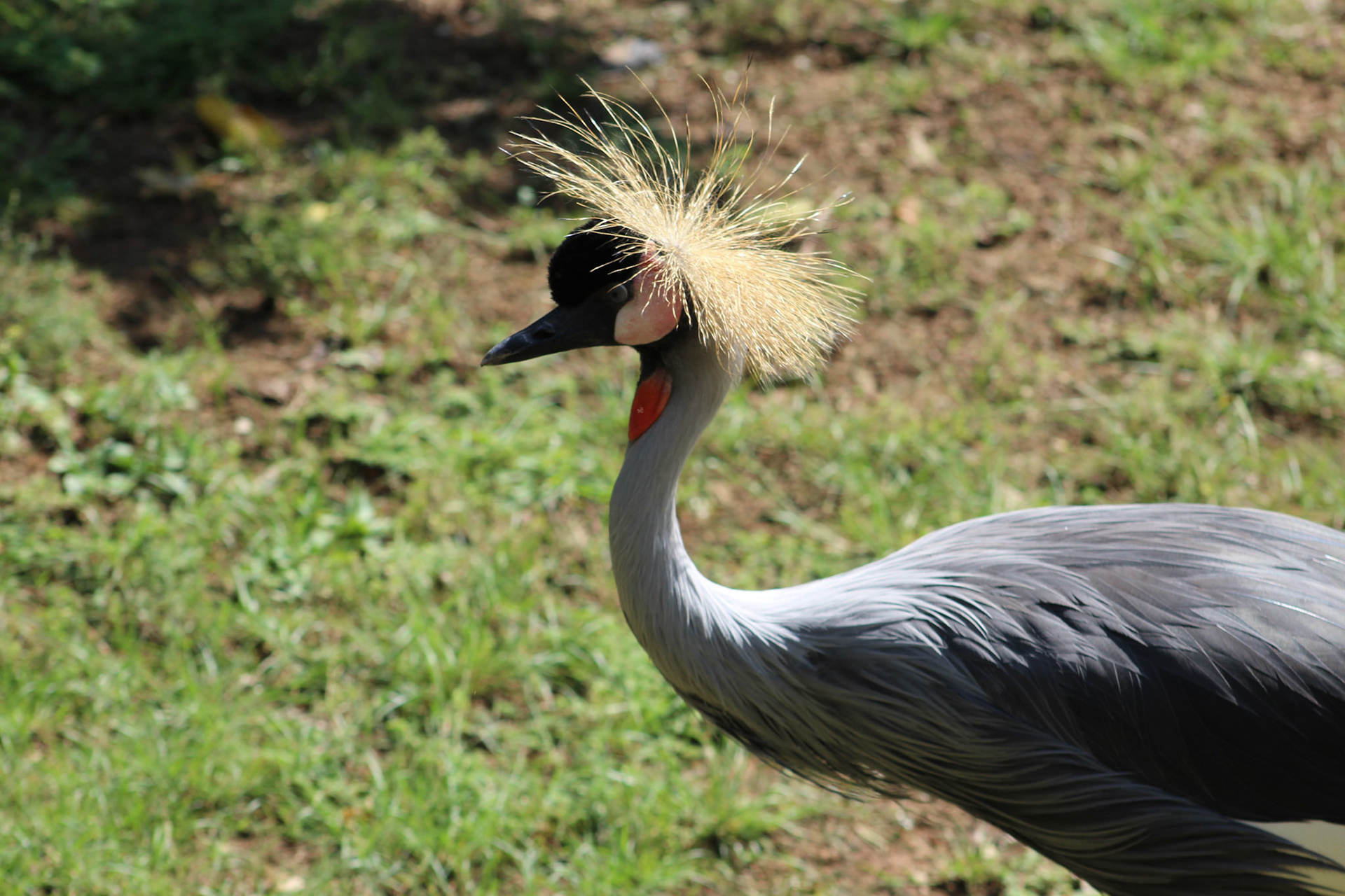 Louisville Zoo, KY, Aug. 2023