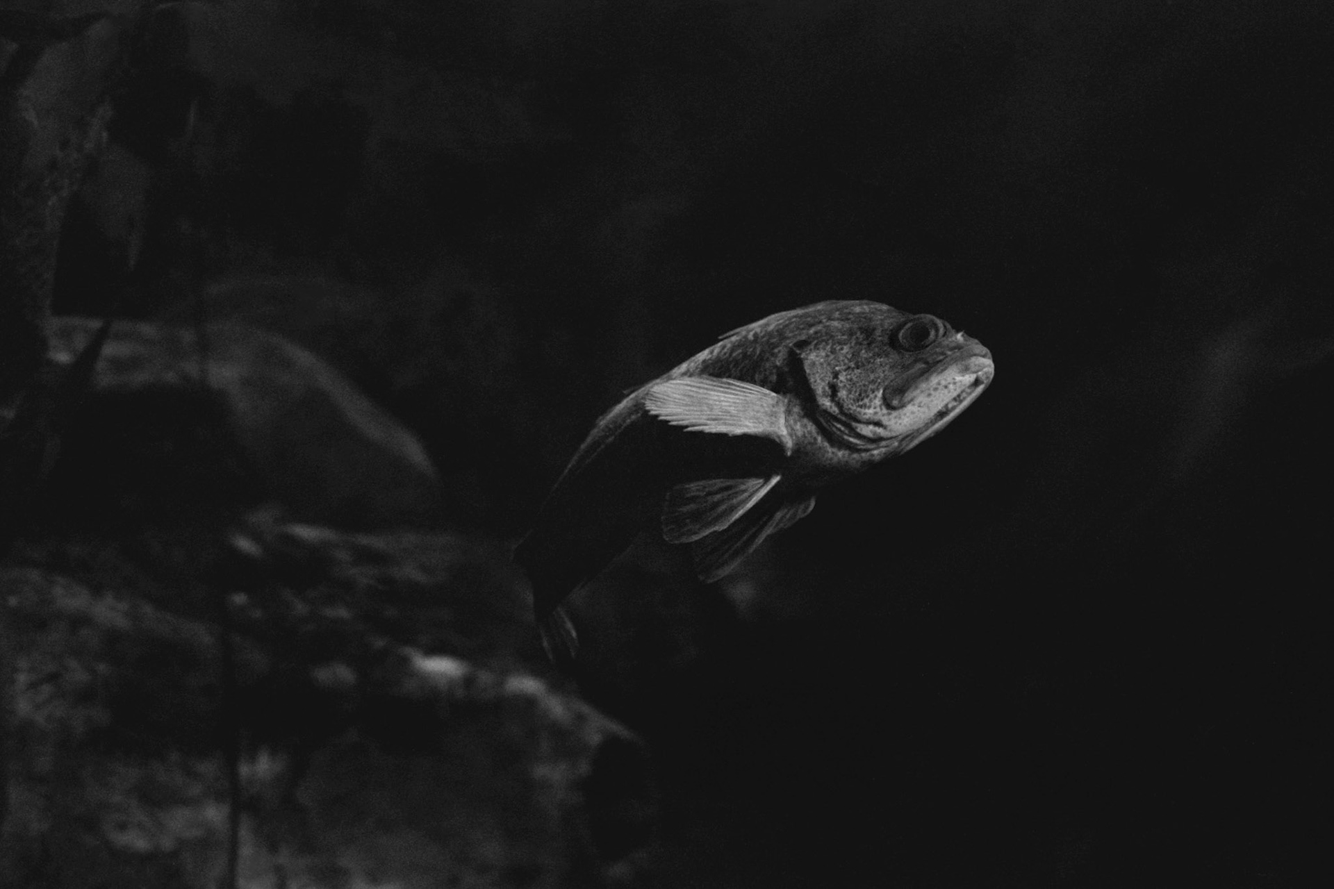 Newport Aquarium, KY, Nov. 2023