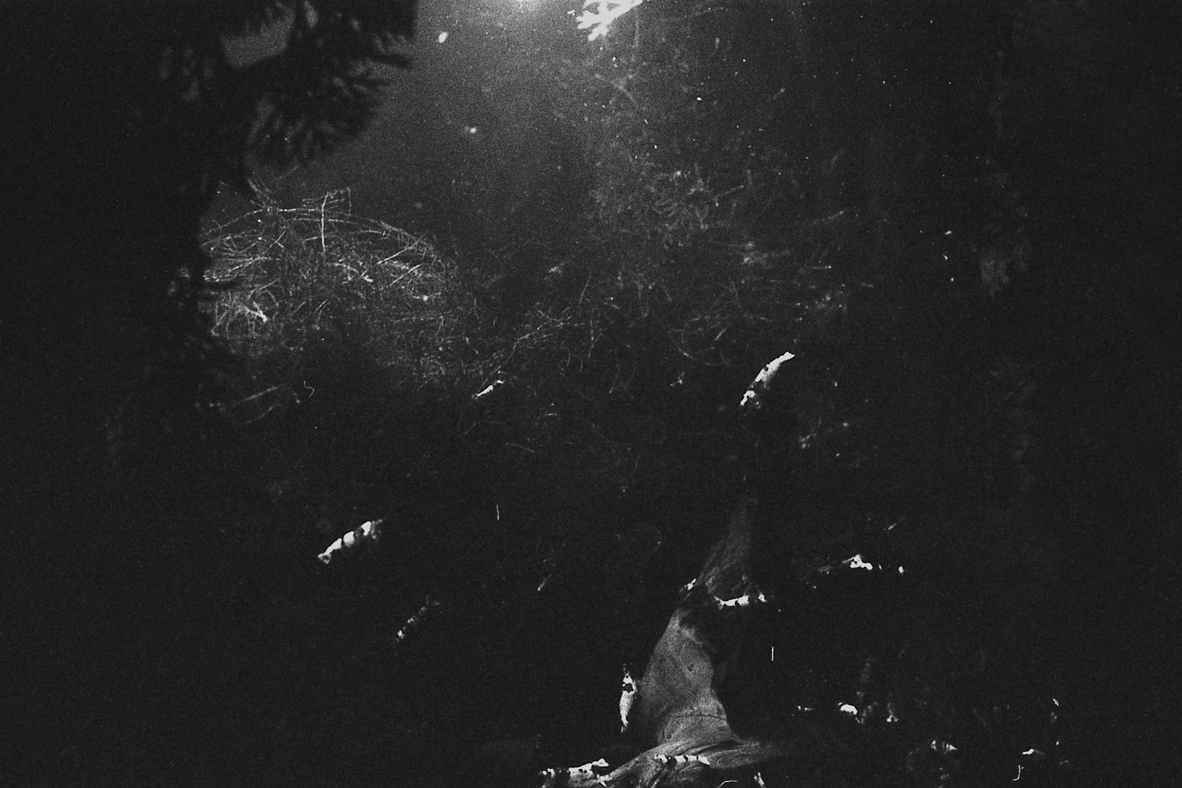 St. Louis Aquarium, MO, Jan. 2025