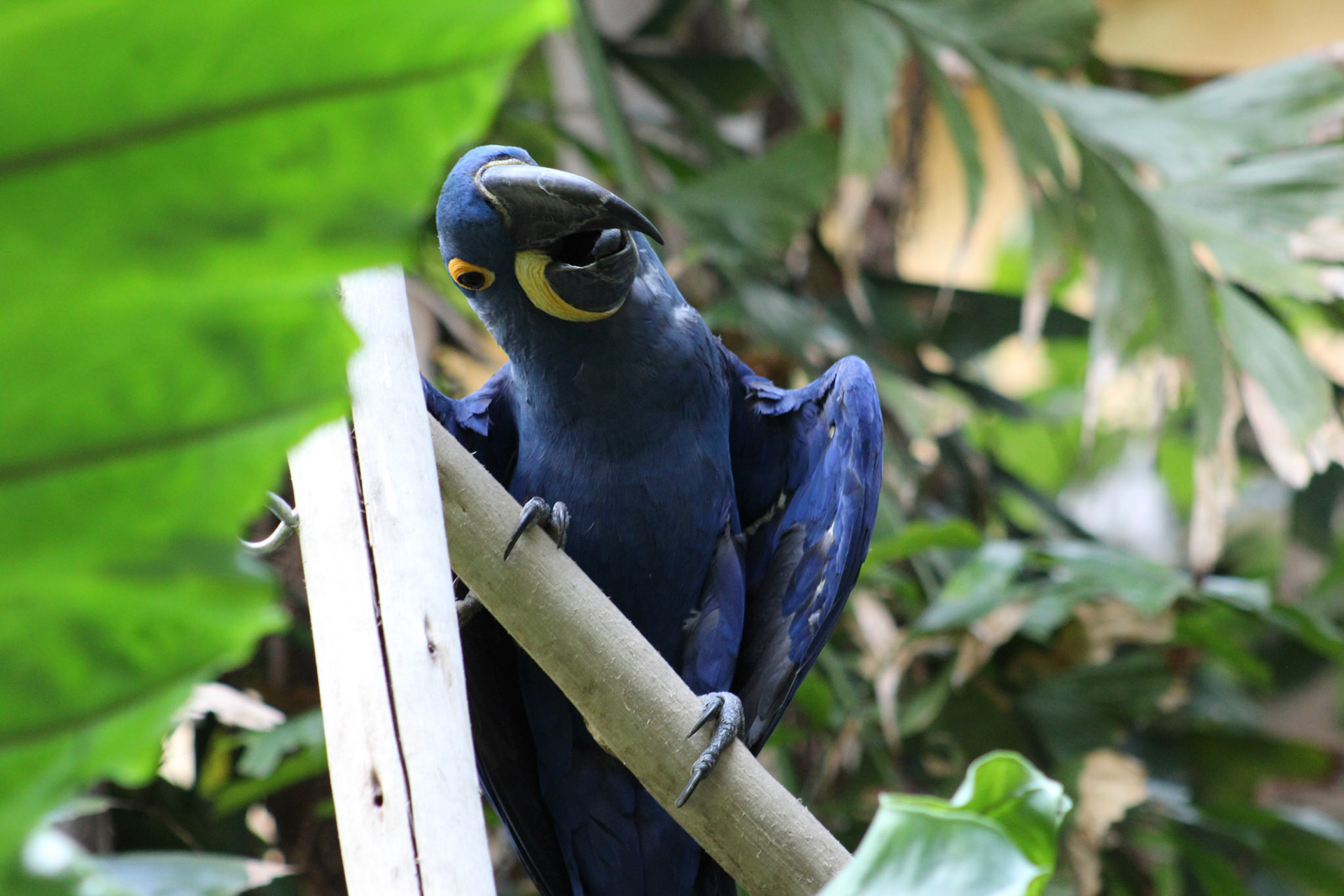 Louisville Zoo, KY, Aug. 2023