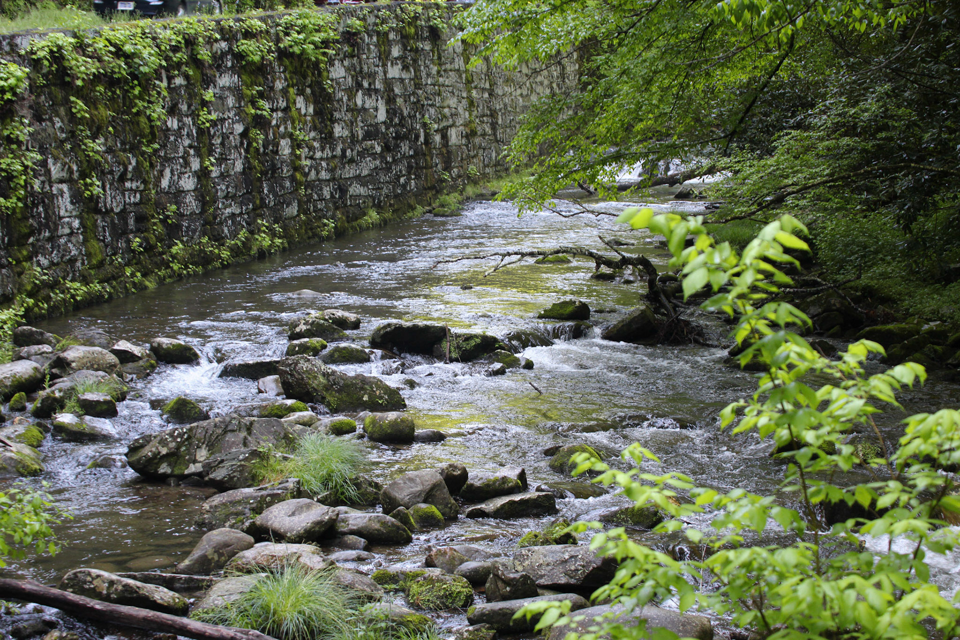 Running creek, Gatlinburg, TN, May 2024