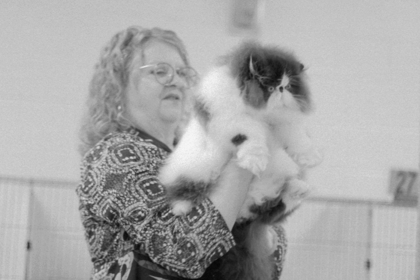 ACFA Cat Show, KY, Oct. 2025