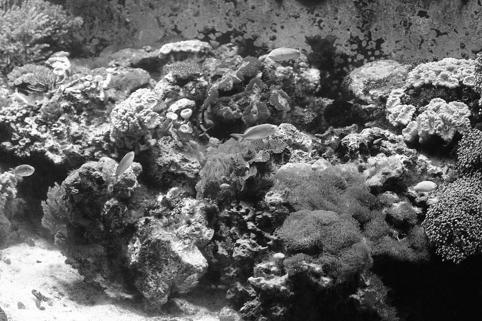 Newport Aquarium, KY, Nov. 2024