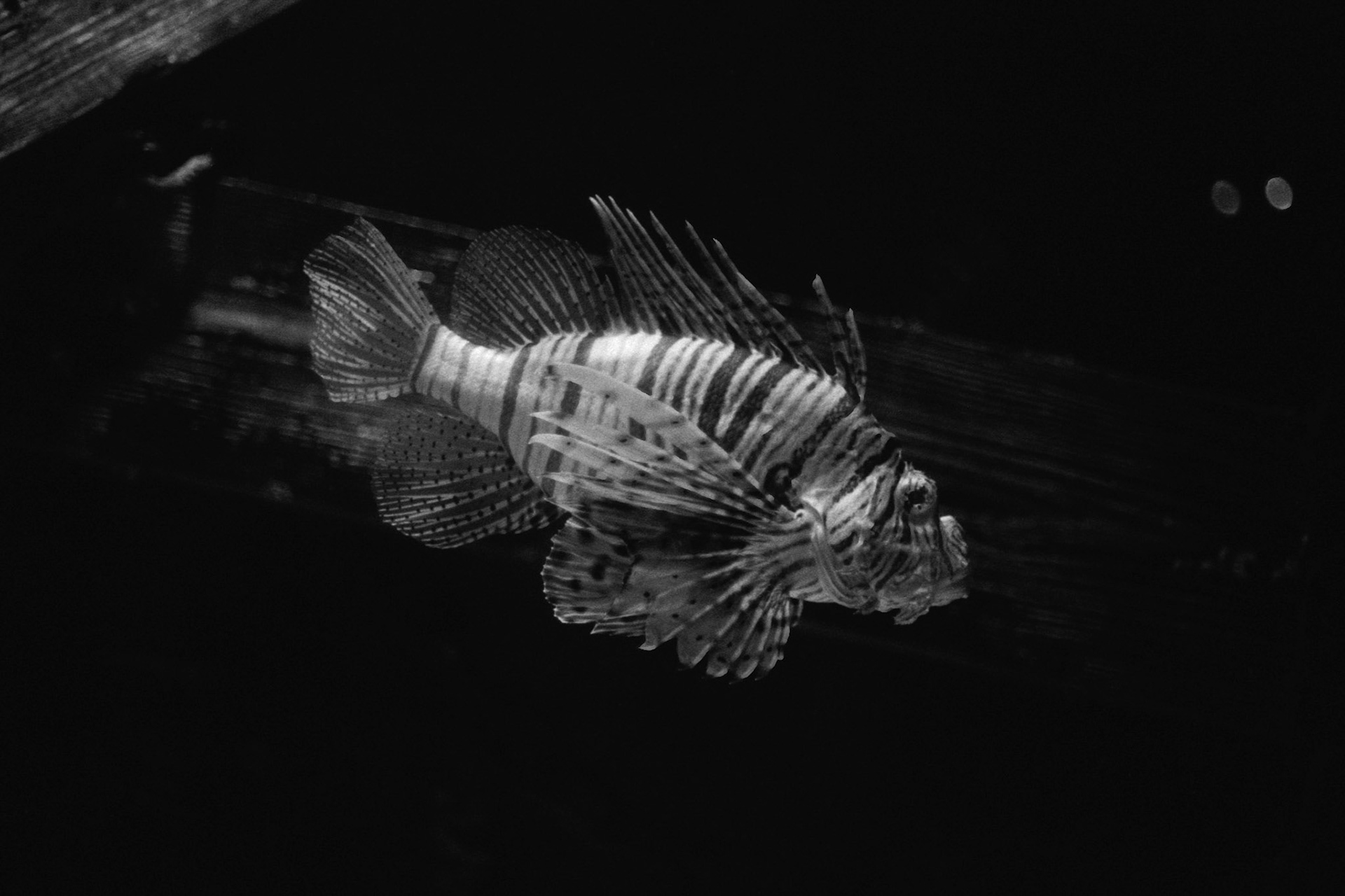 Newport Aquarium, KY, Nov. 2023