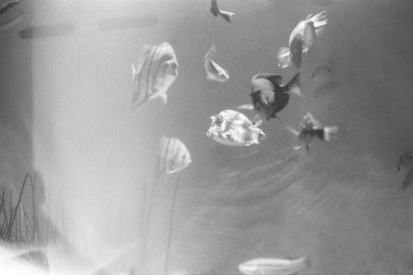 Newport Aquarium, KY, Nov. 2024