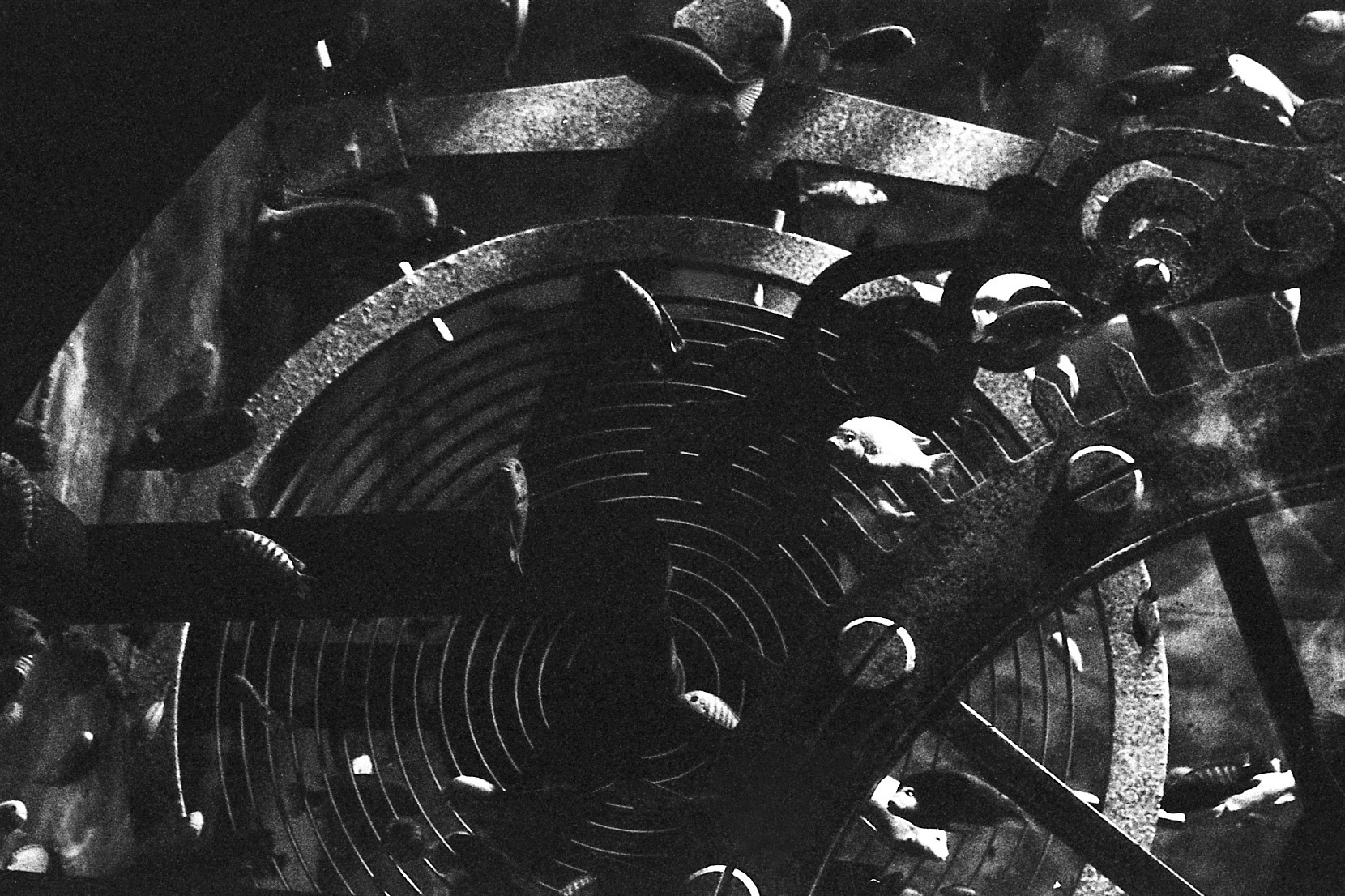 St. Louis Aquarium, MO, Jan. 2025