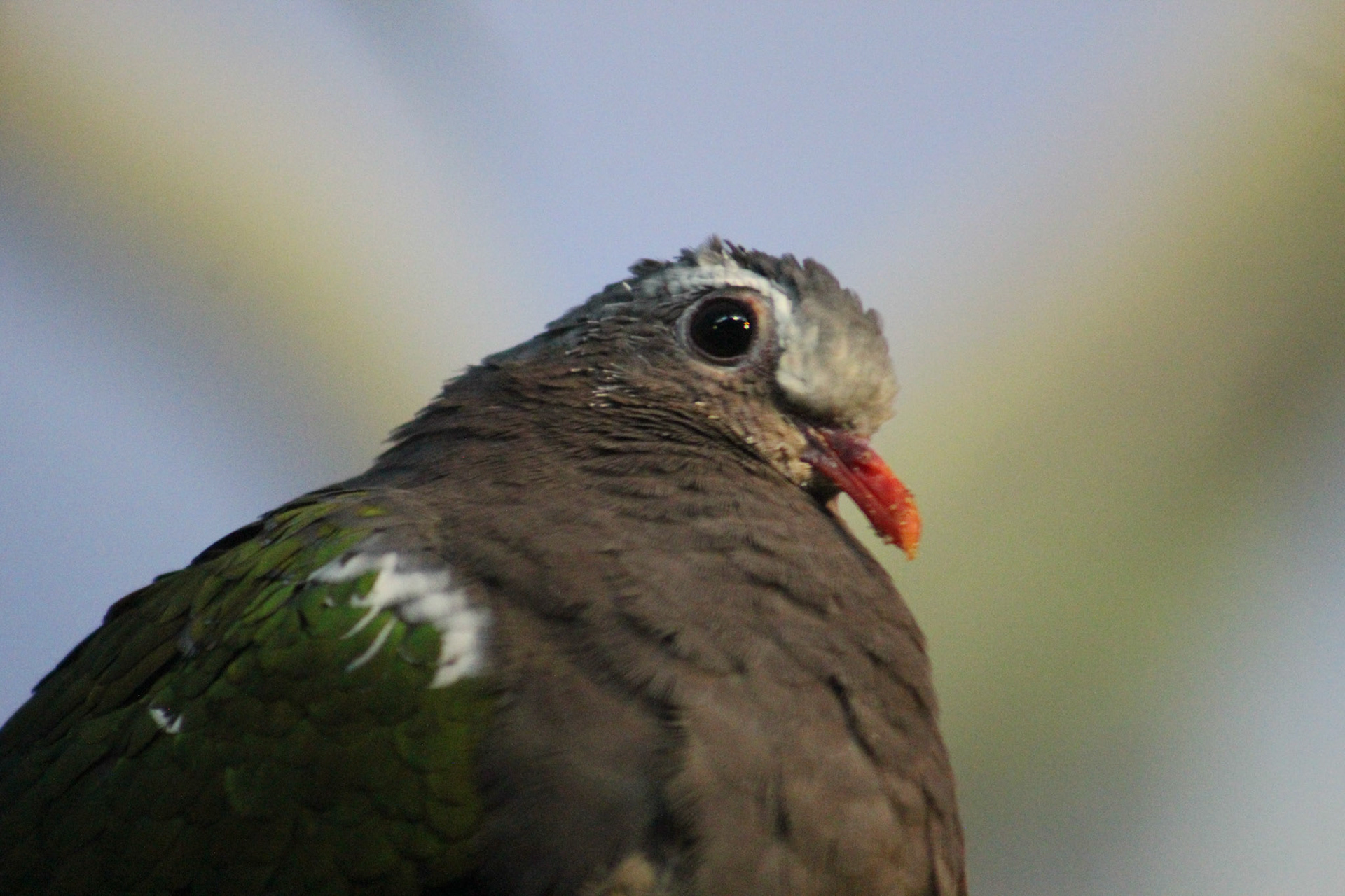 Louisville Zoo, KY, Aug. 2023