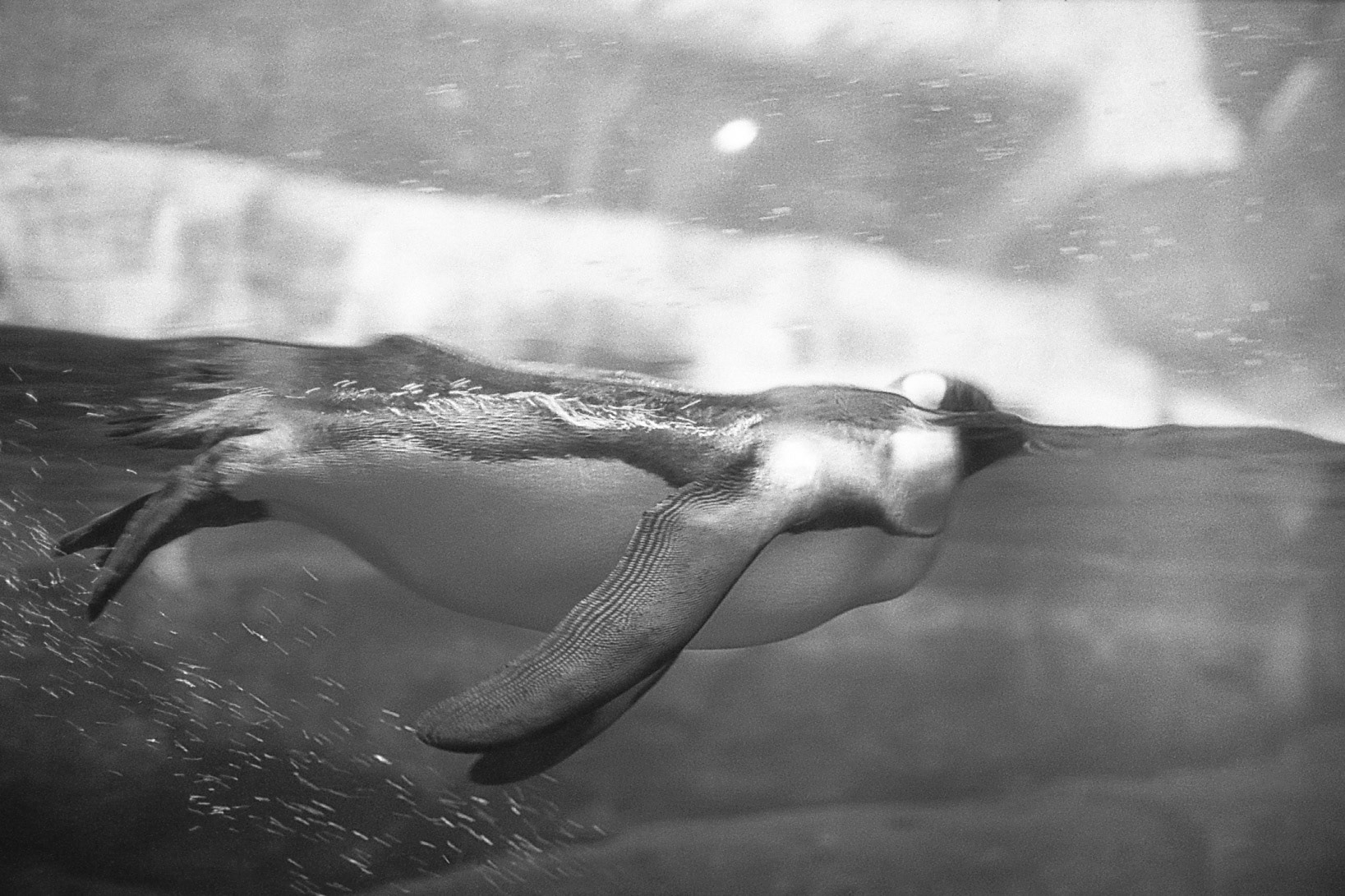 Newport Aquarium, KY, Nov. 2024