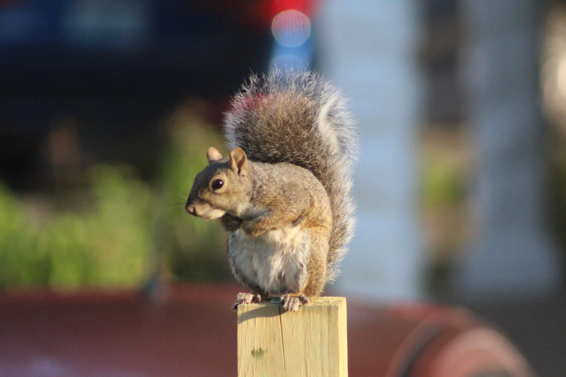 Squirrel, KY, Sep. 2023