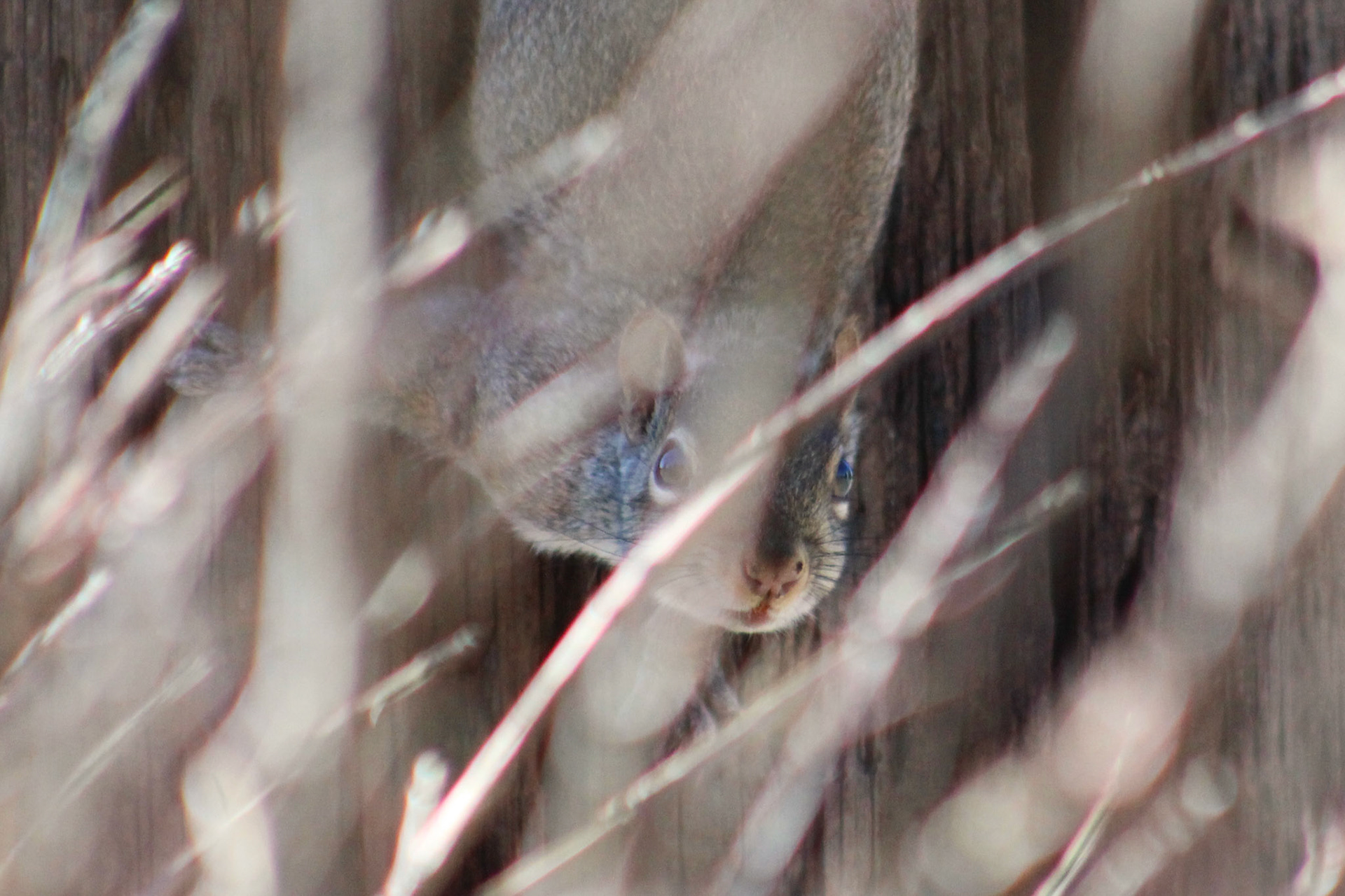 Squirrel, KY, Feb. 2024