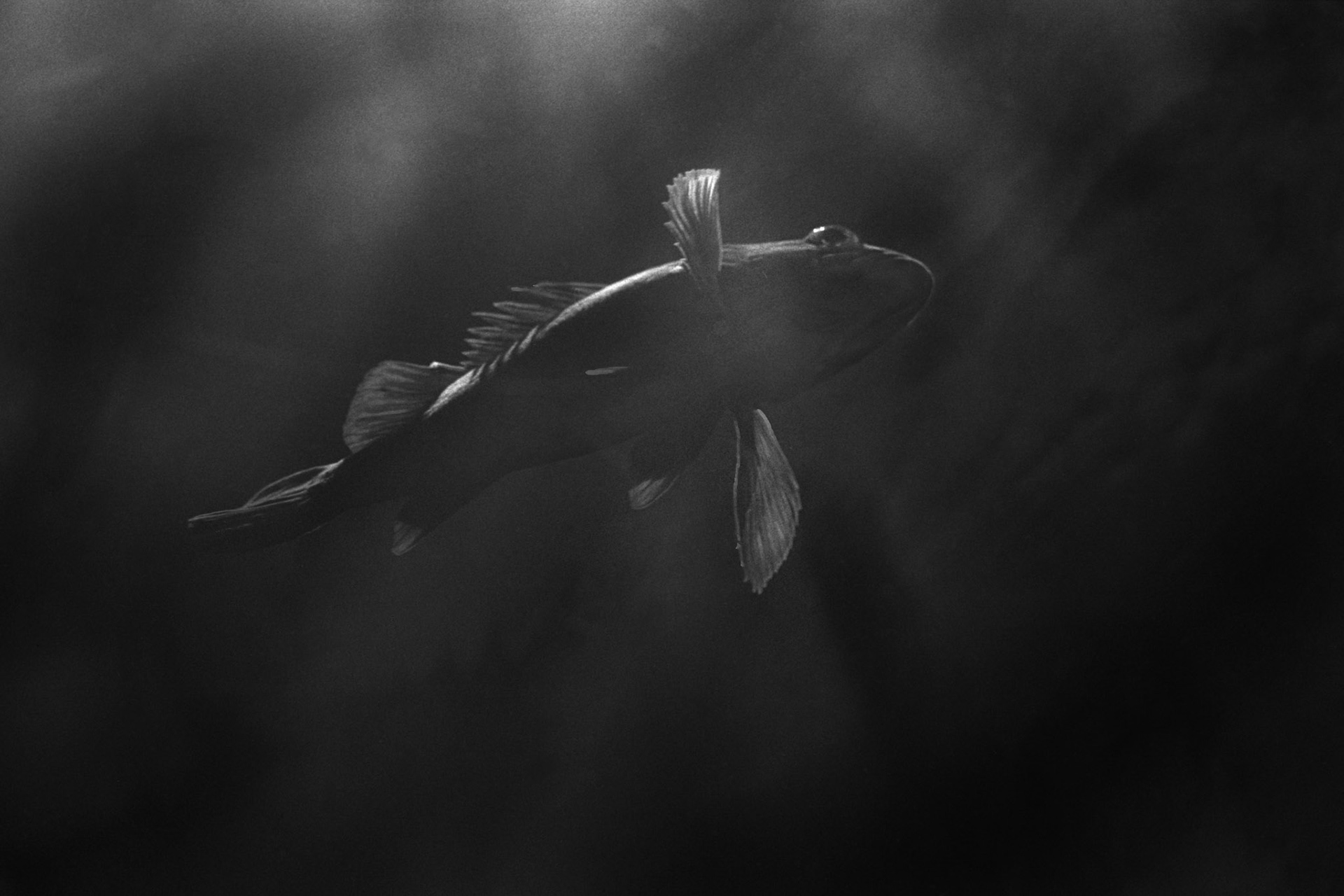 Newport Aquarium, KY, Nov. 2023