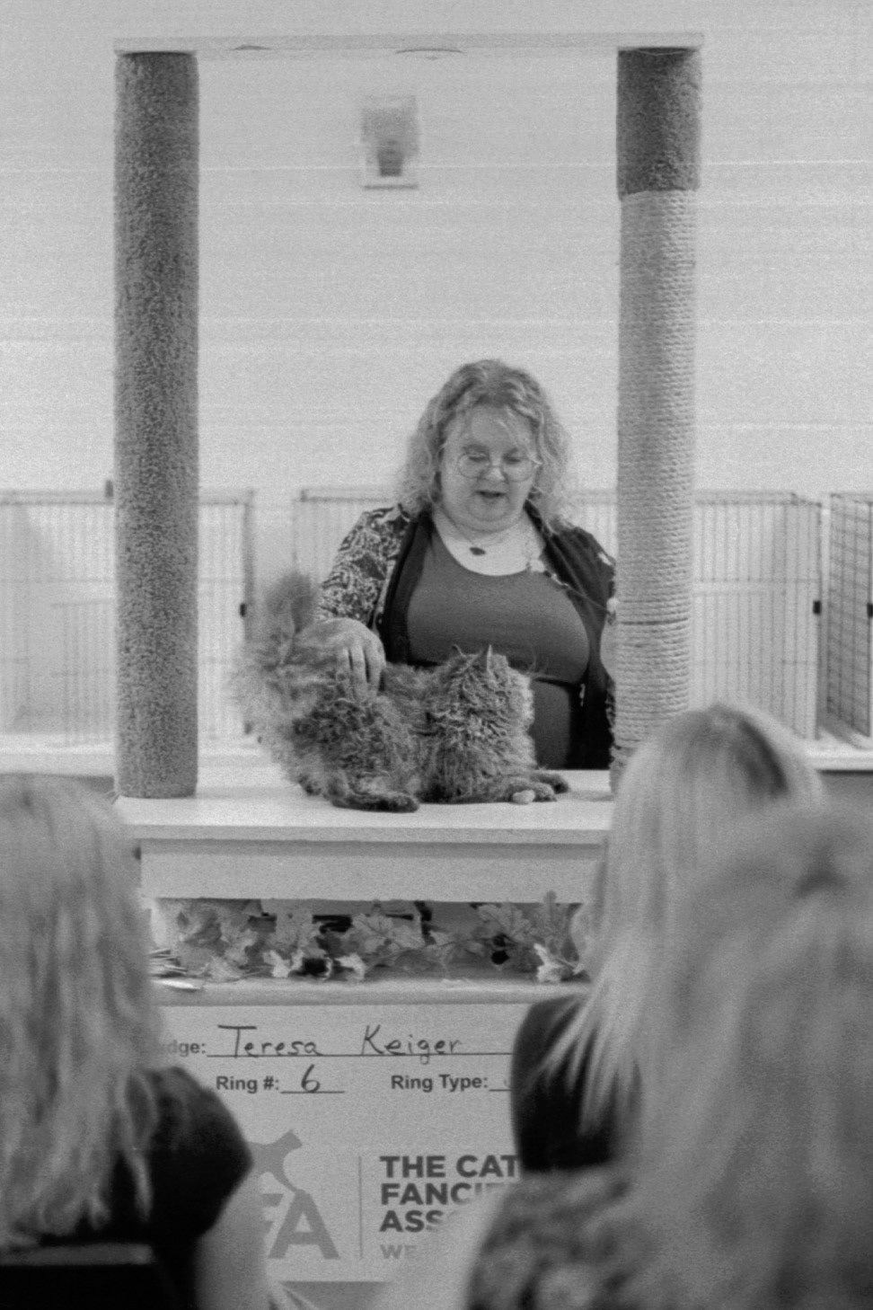 ACFA Cat Show, KY, Oct. 2025