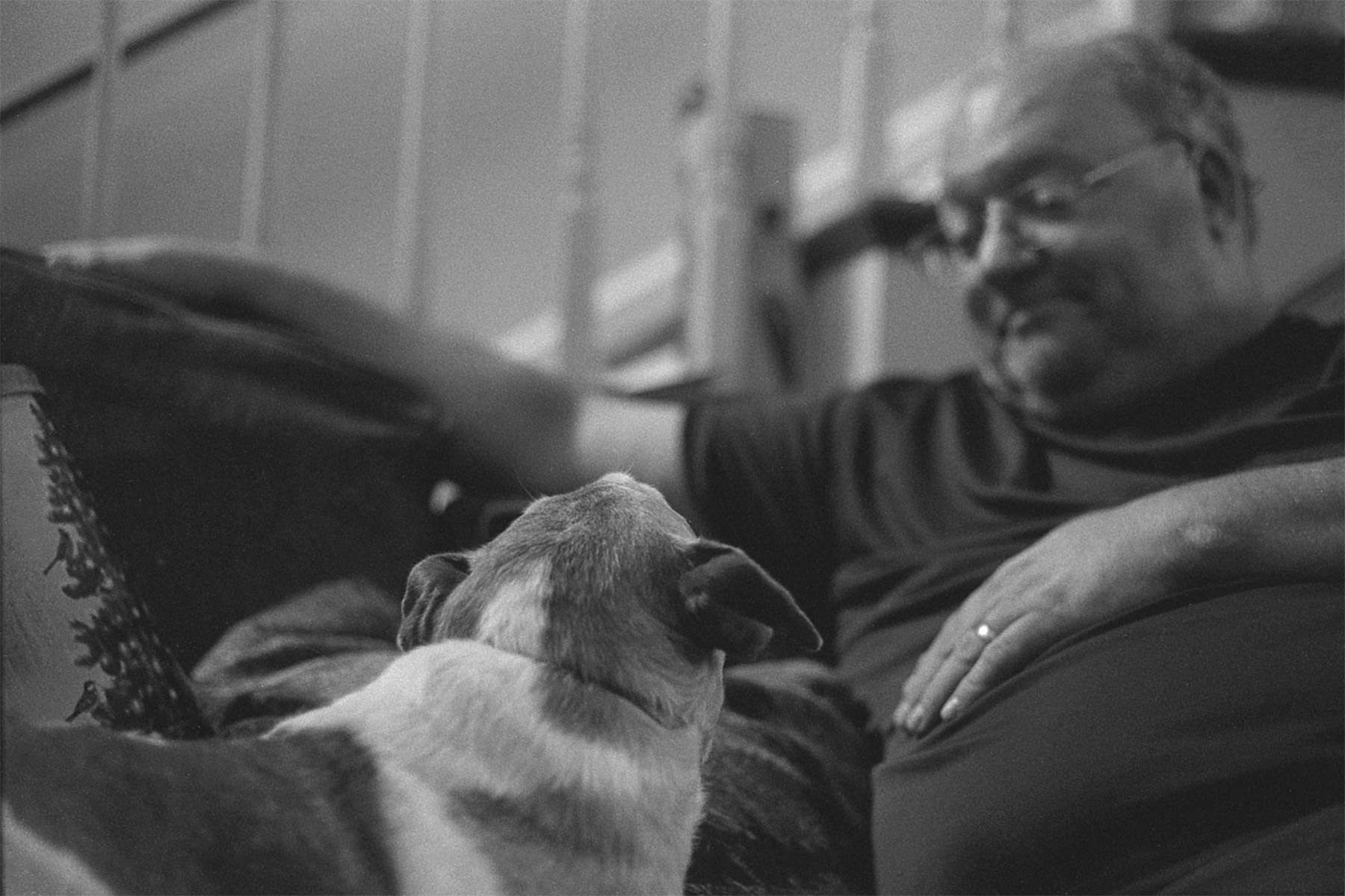 Jack Russell mix dog with dad, KY, Apr. 2024