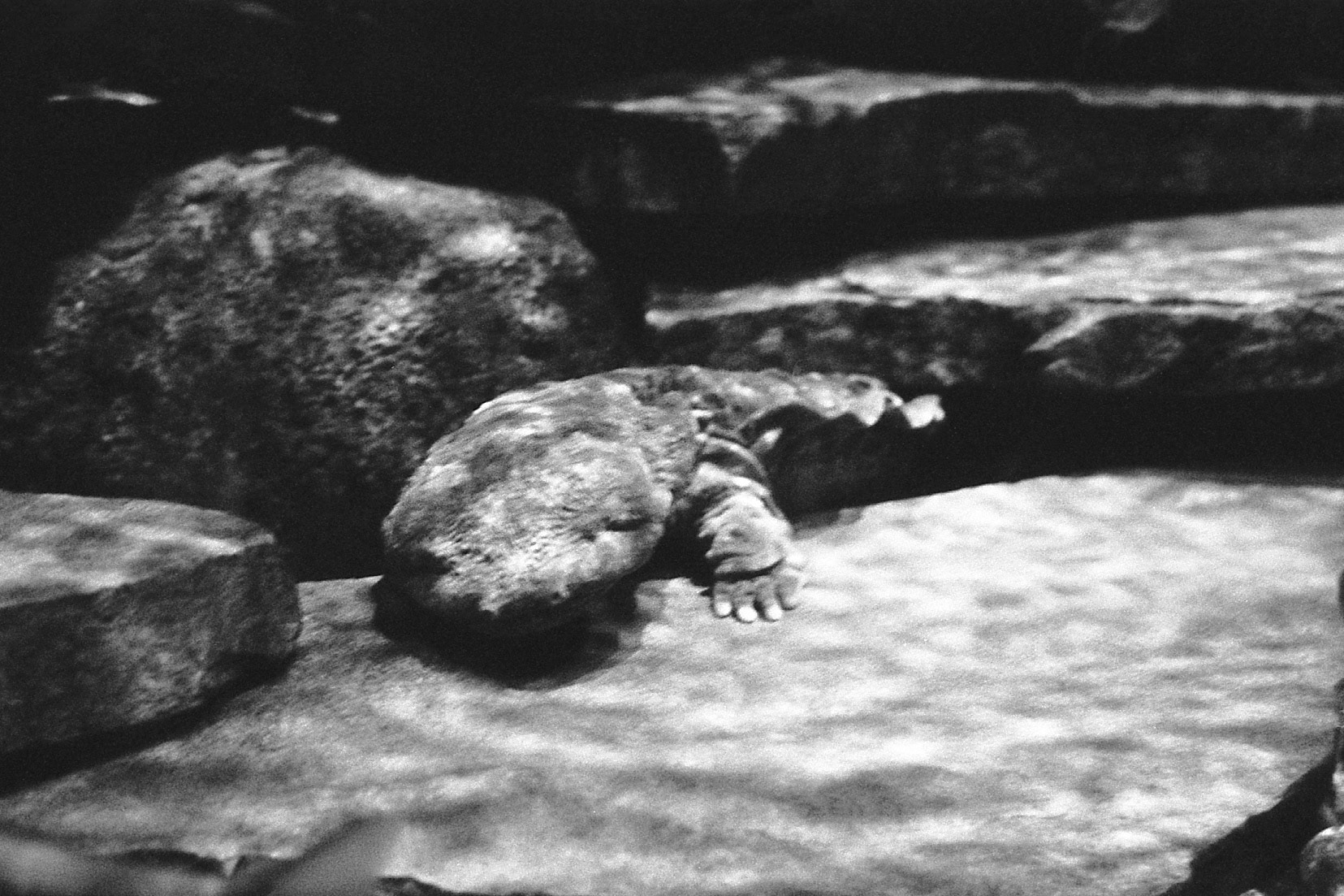 Newport Aquarium, KY, Nov. 2024