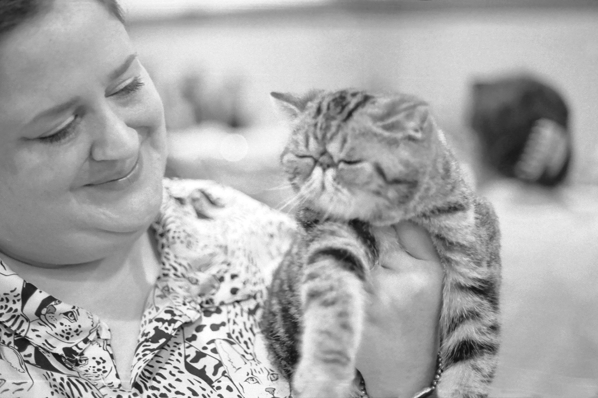 ACFA Cat Show, KY, Oct. 2025