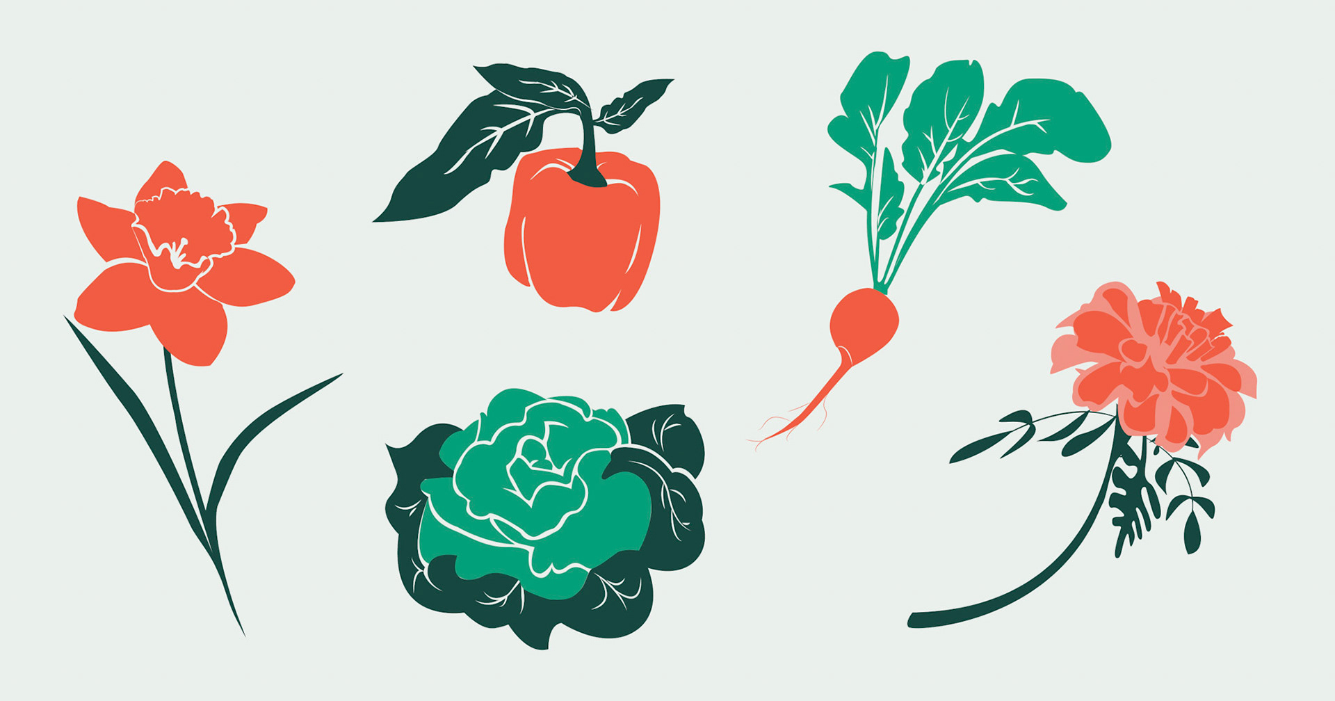 "Let's Start Growing", commissioned/freelance, digital illustration, May 2022