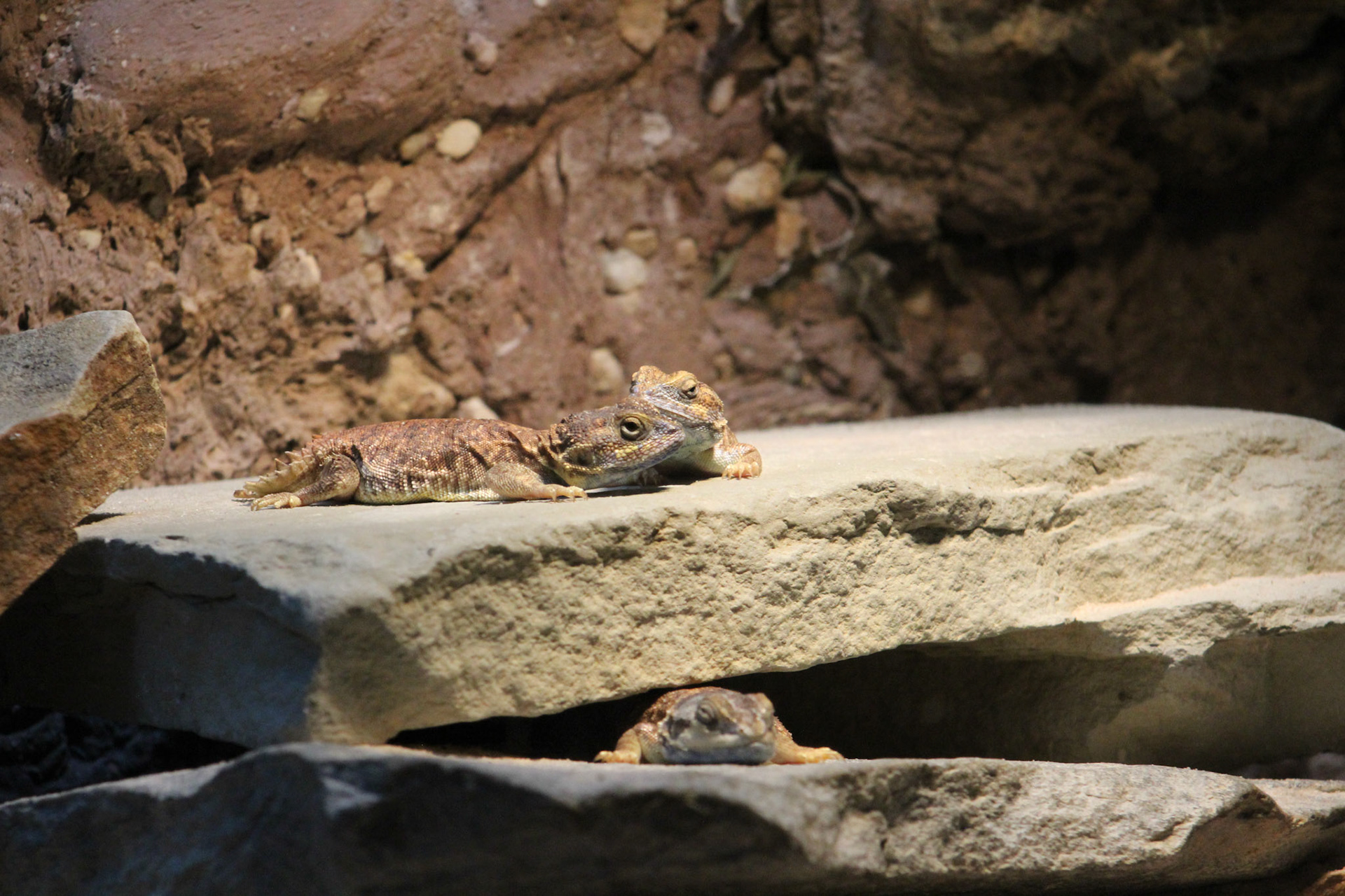 Newport Aquarium, KY, Nov. 2023