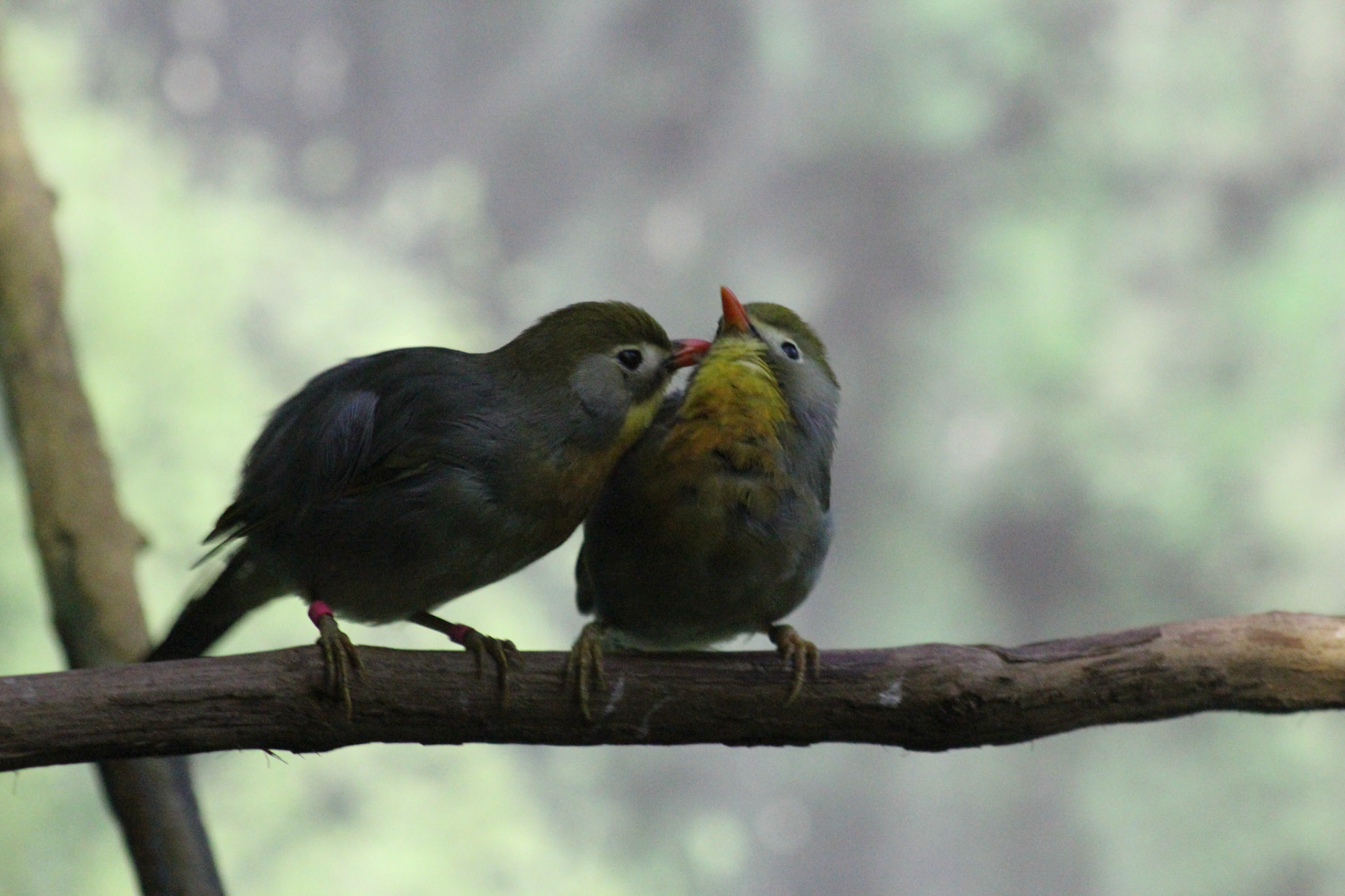 Louisville Zoo, KY, Aug. 2023