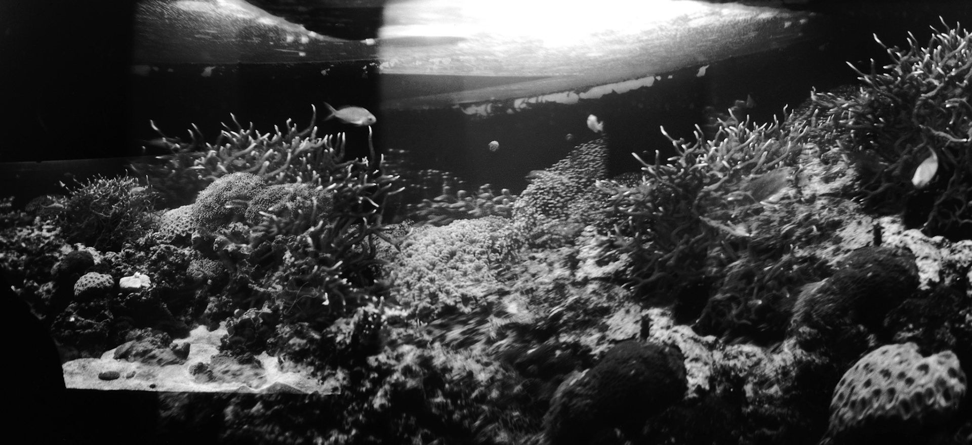 Newport Aquarium, KY, Nov. 2023