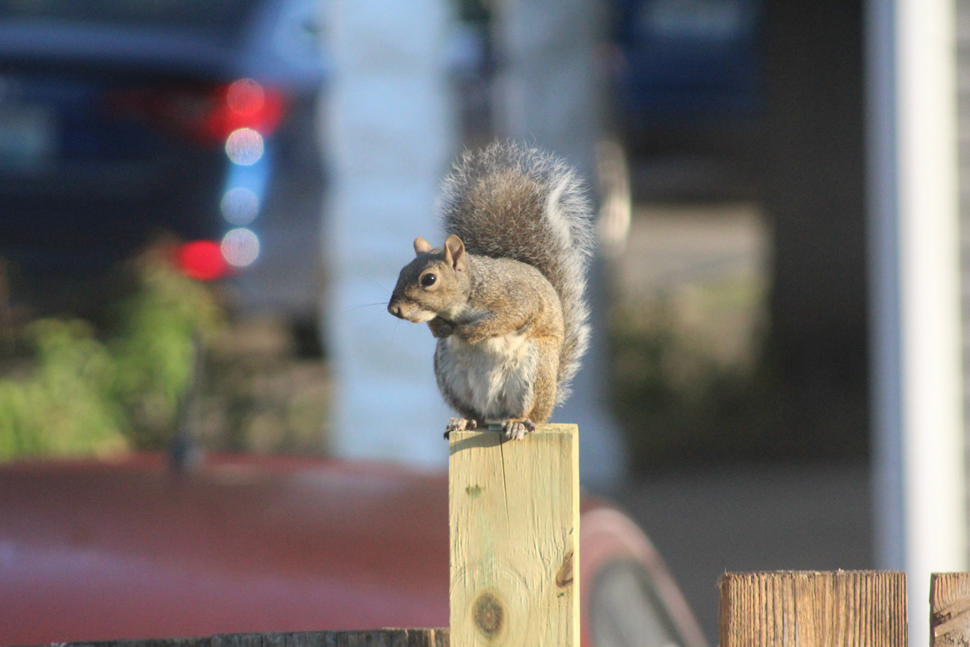 Squirrel, KY, Sep. 2023