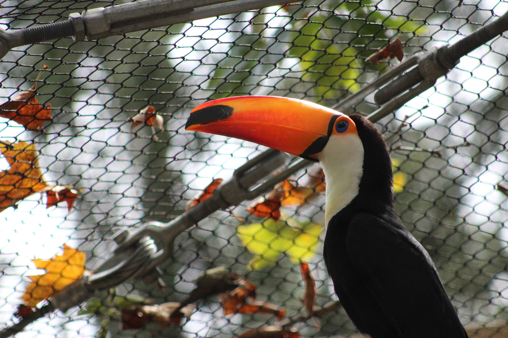 Louisville Zoo, KY, Aug. 2023
